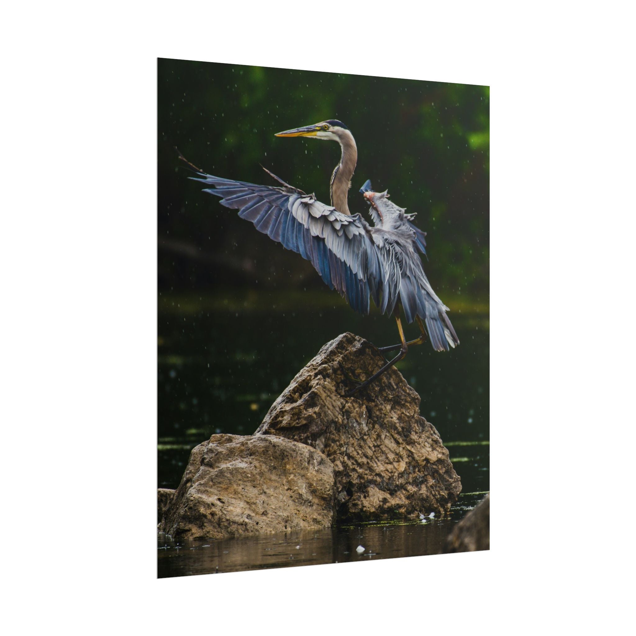 great-blue-heron-poster-wall-art-home-decor-bird-lover-gift-nature-wall-hanging-wildlife-poster