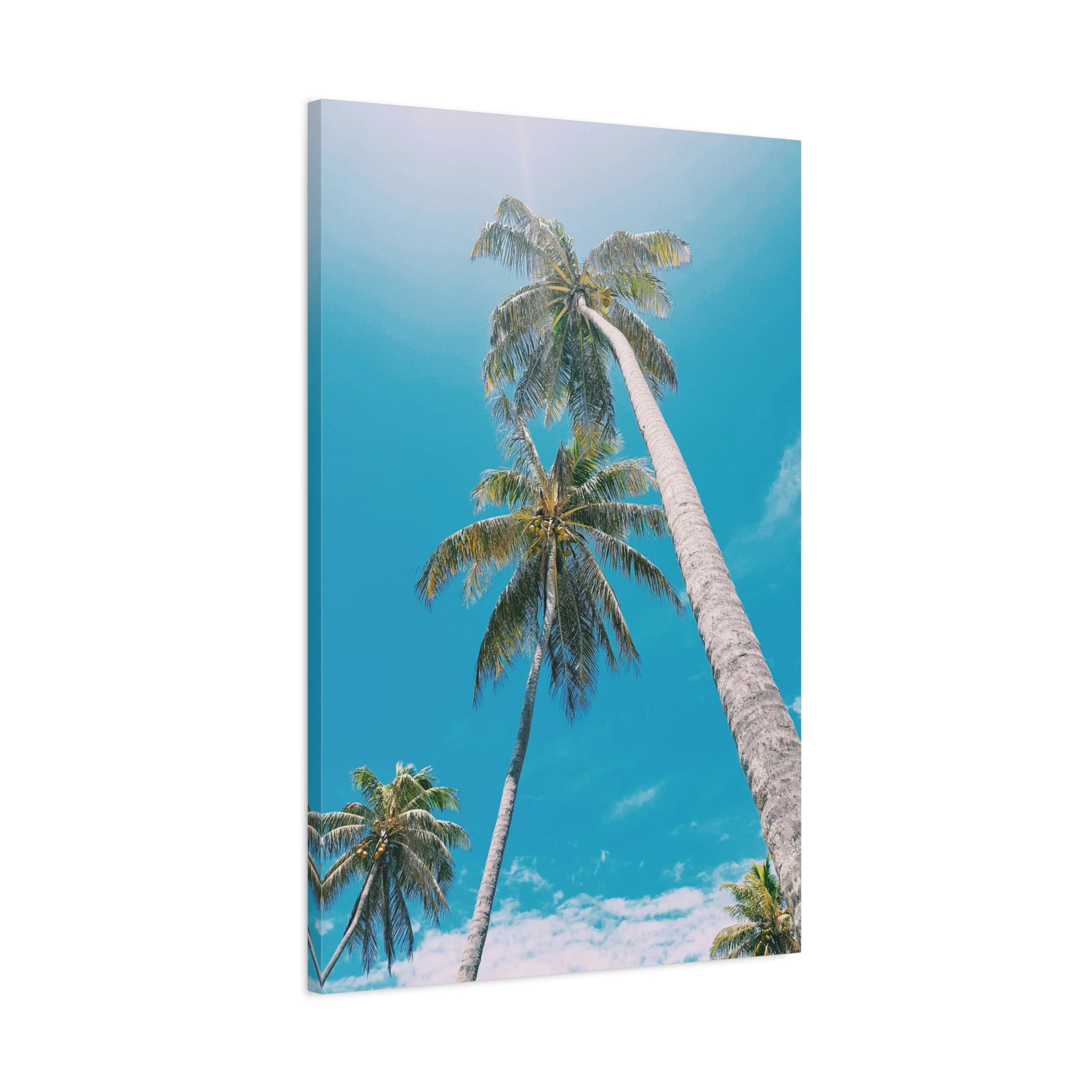 palm-tree-canvas-print-palm-tree-decor-wall-art-print-home-decor-palm-tree-fine-art-palm-tree-art-gallery-stretched-canvas-pr