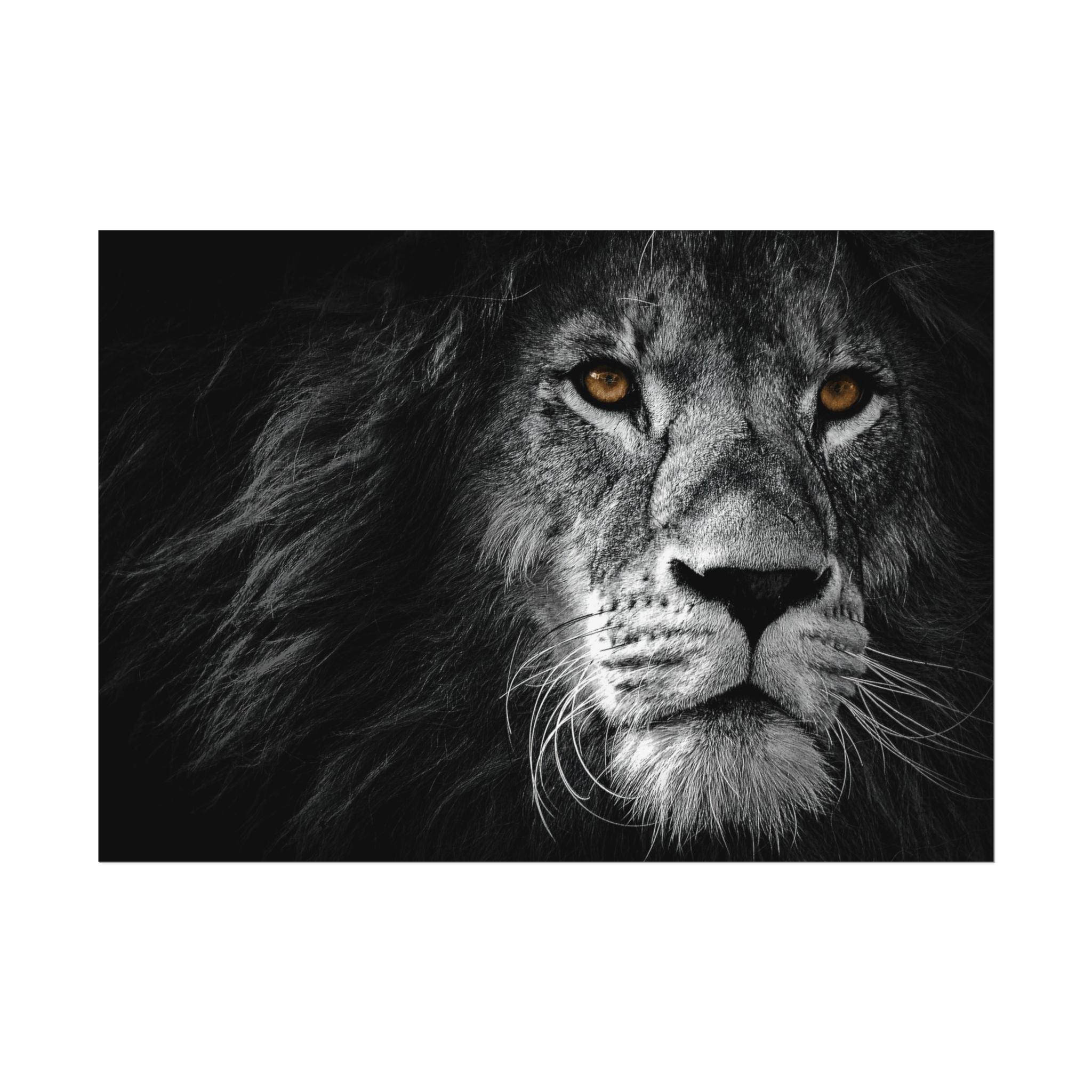 poster-print-lion-wall-art-black-and-white-monochrome-decor-living-room-decor-lion-poster-jungle-animal-art-print-wildlife-sa