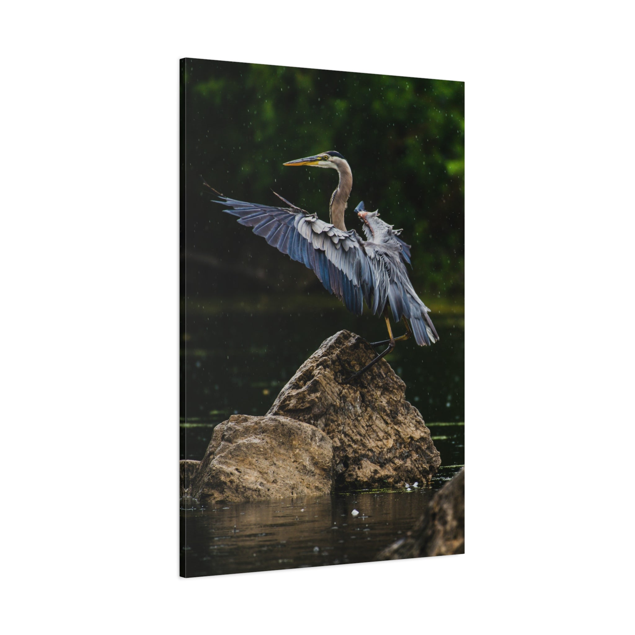 canvas-print-wall-art-great-blue-heron-matte-canvas-stretched-home-decor-bird-lover-gift-nature-wall-hanging-wildlife