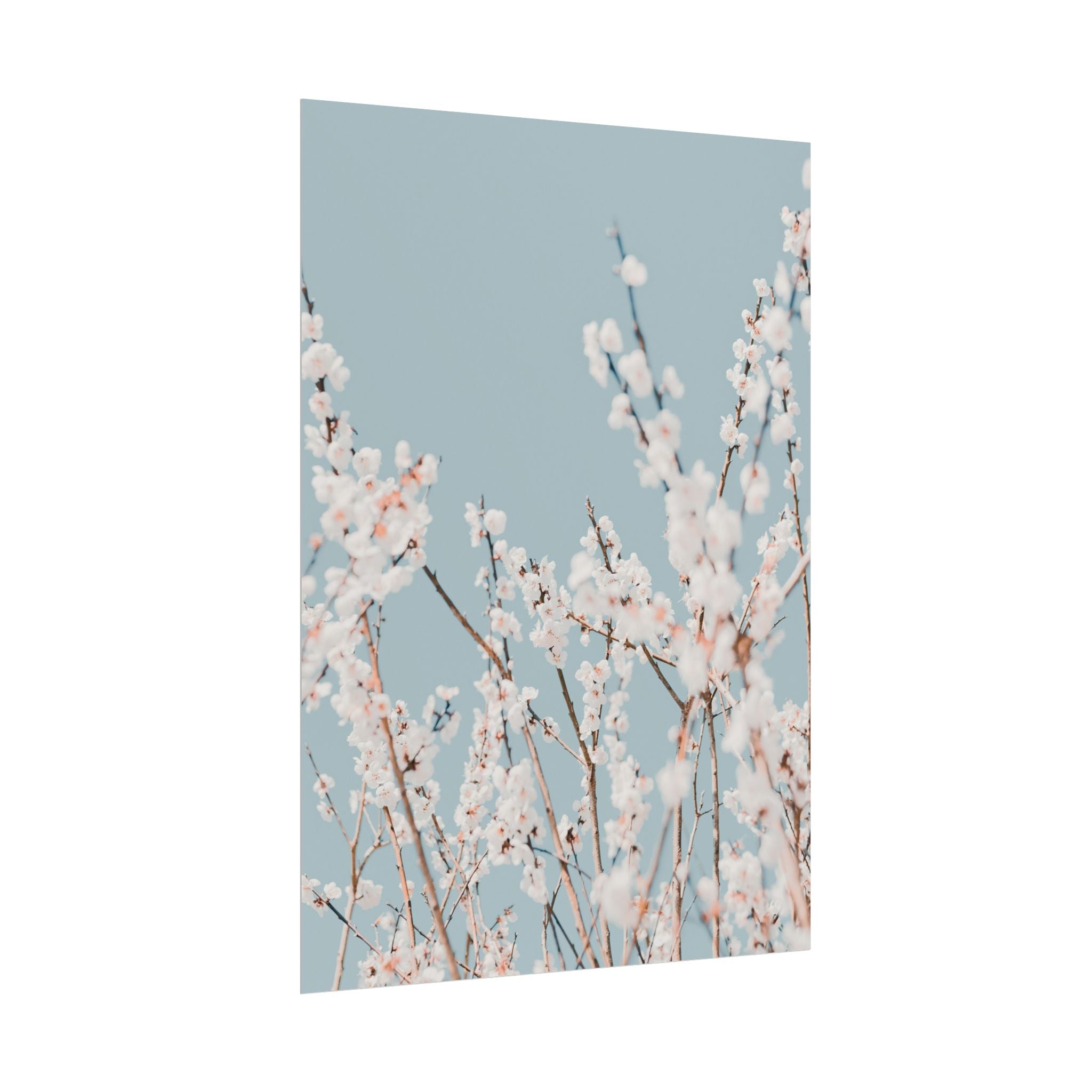 blossom-flowers-poster-print-minimalist-aesthetic-wall-art-fine-art-paper-home-decor-floral-decor-elegant-artwork