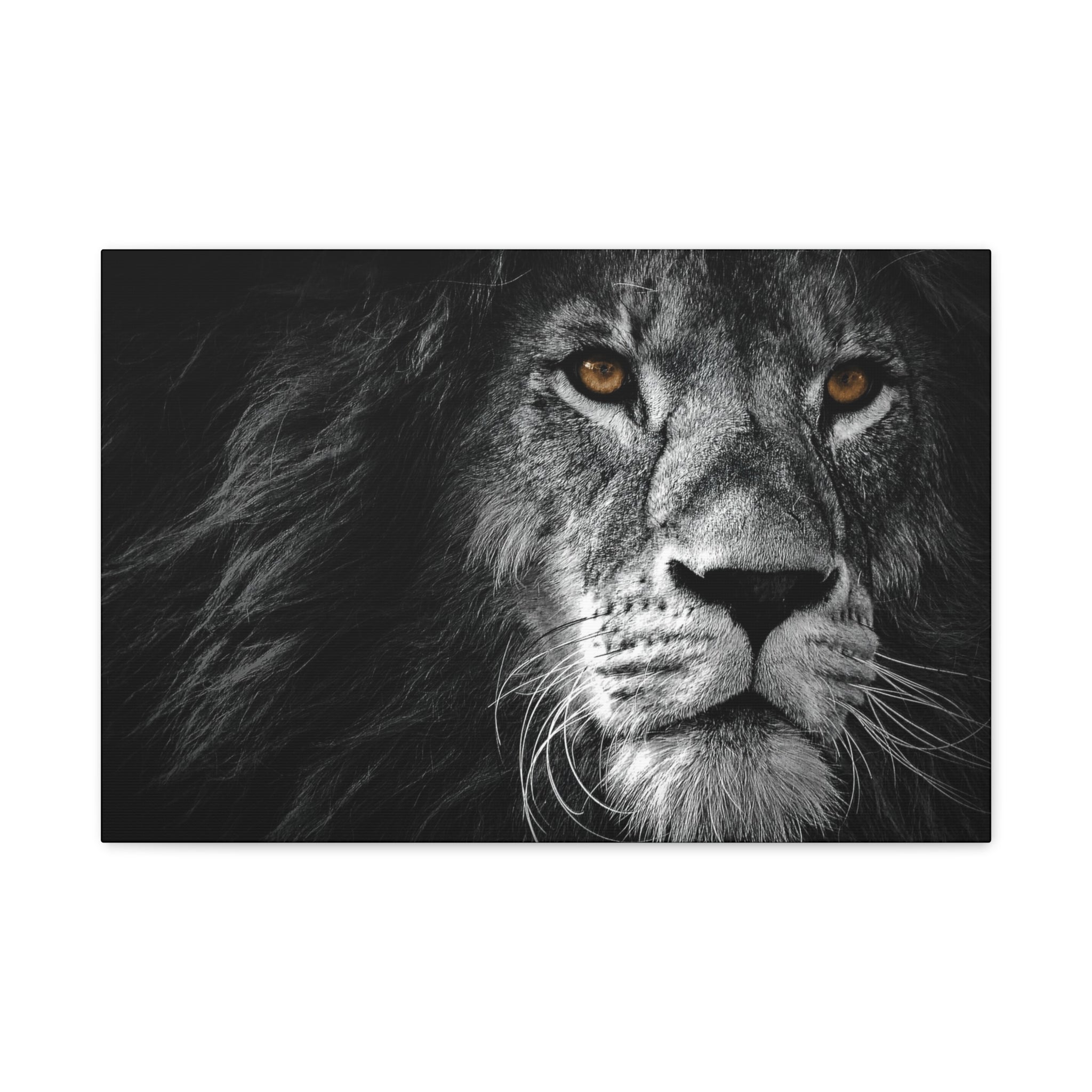 canvas-print-lion-wall-art-black-and-white-living-room-decor-matte-stretched-lion-poster-jungle-animal-art-print-wildlife-saf