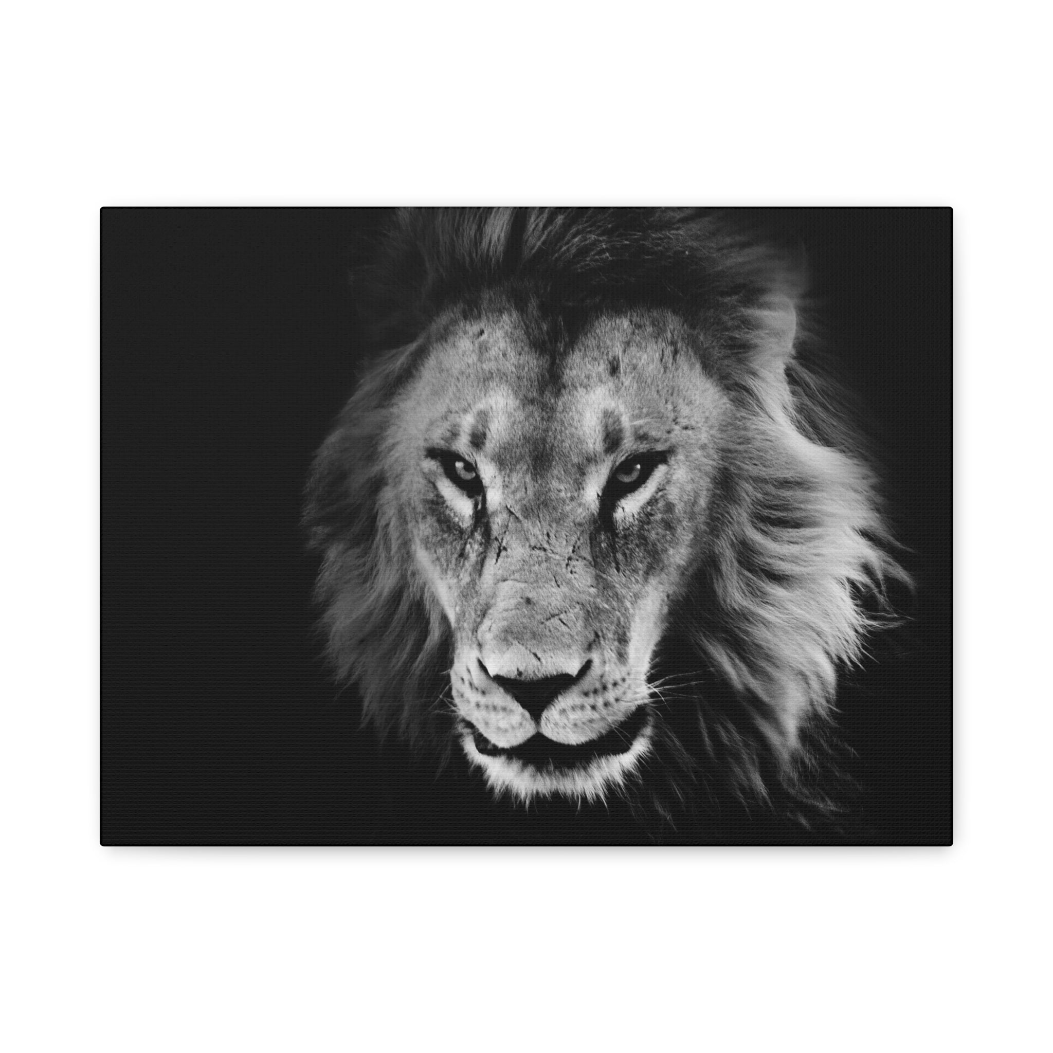 canvas-print-lion-wall-art-black-and-white-living-room-decor-matte-stretched-lion-poster-jungle-animal-art-print-wildlife-saf
