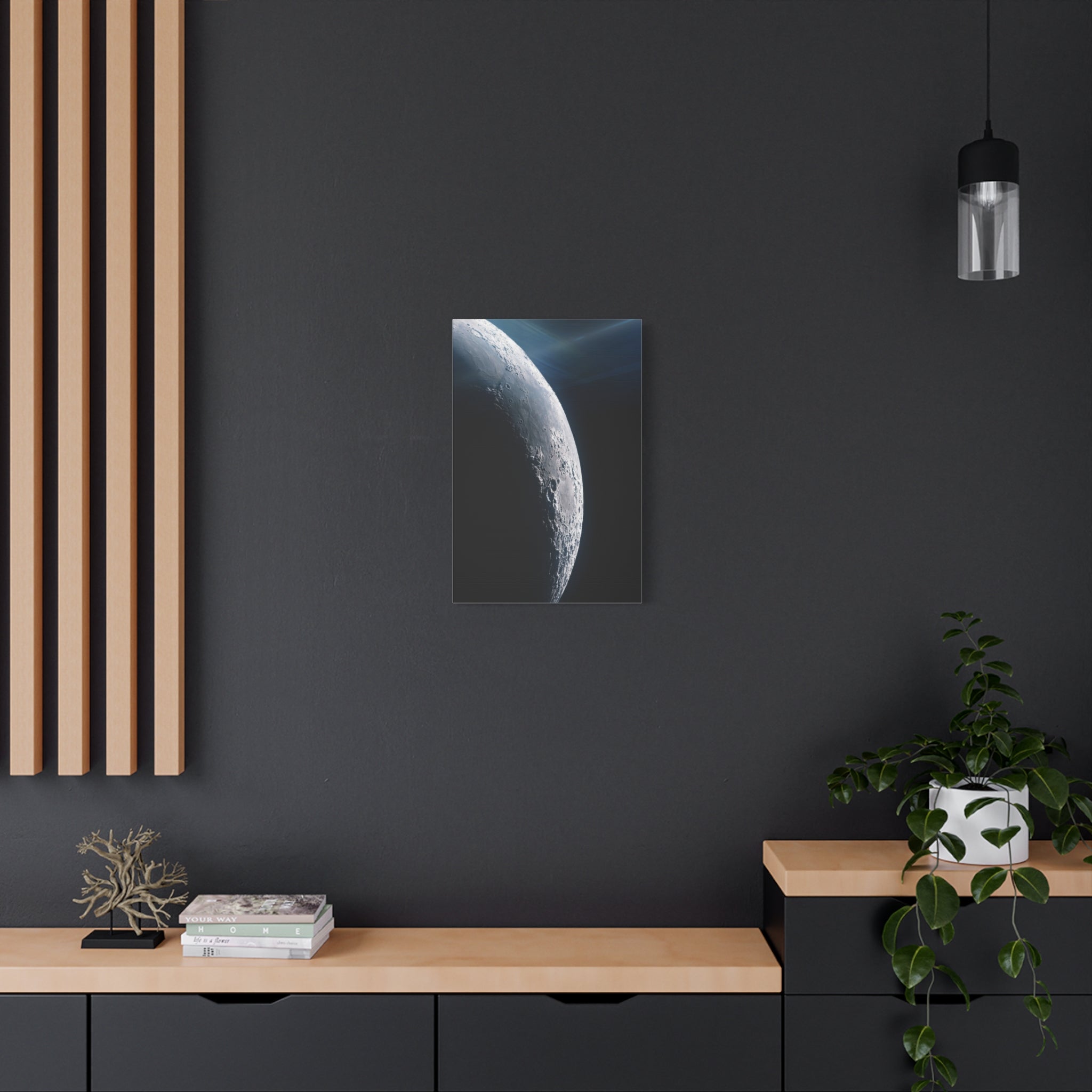 moon-surface-canvas-wall-art-matte-canvas-print-for-home-decor-stretchedcavnas-living-room-decor-moon-canvas-print