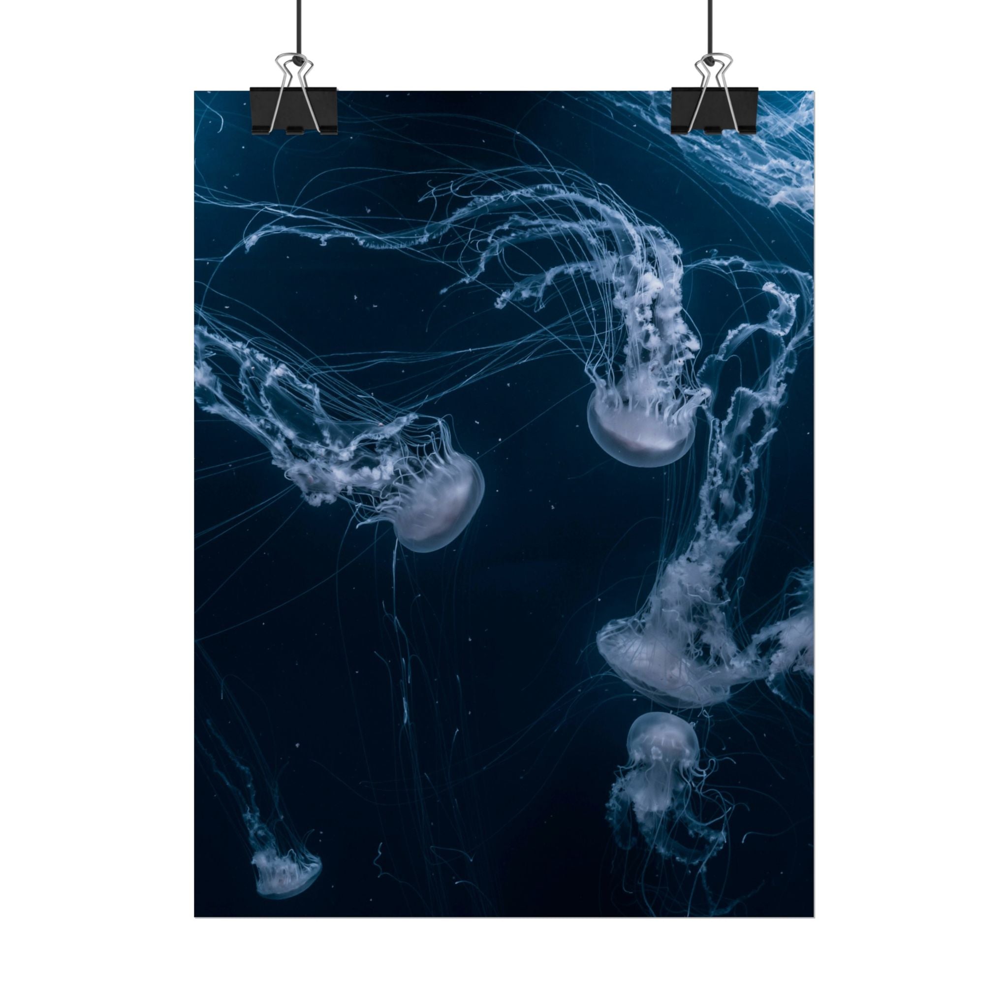 long-jellyfish-wall-art-poster-print-wall-hanging-ocean-life-deep-ocean-decor-home-decor-housewarming-gift