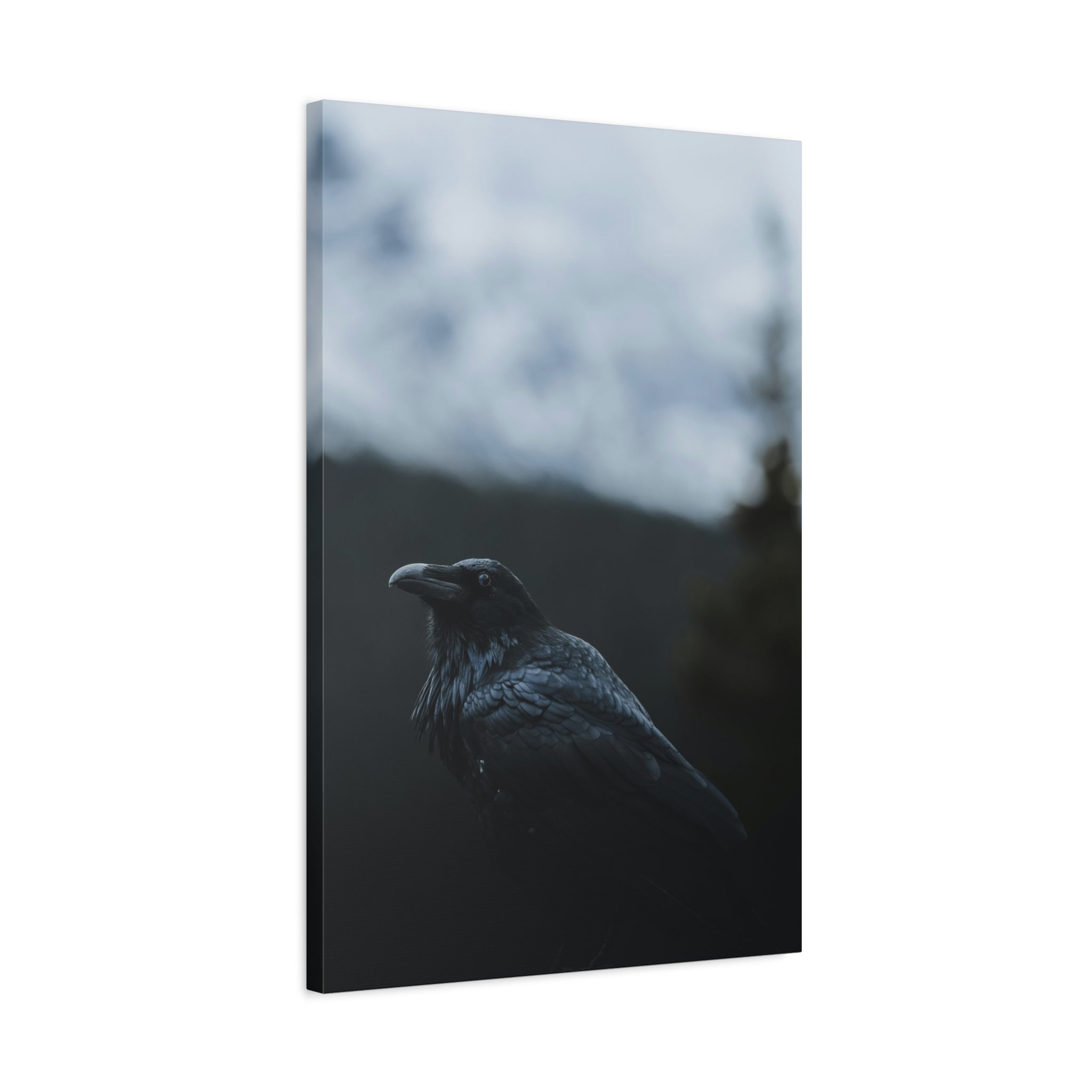 raven-canvas-print-raven-decor-matte-stretched-wall-art-bird-lover-gift-gothic-home-decor-halloween-picture-raven-art-print-1