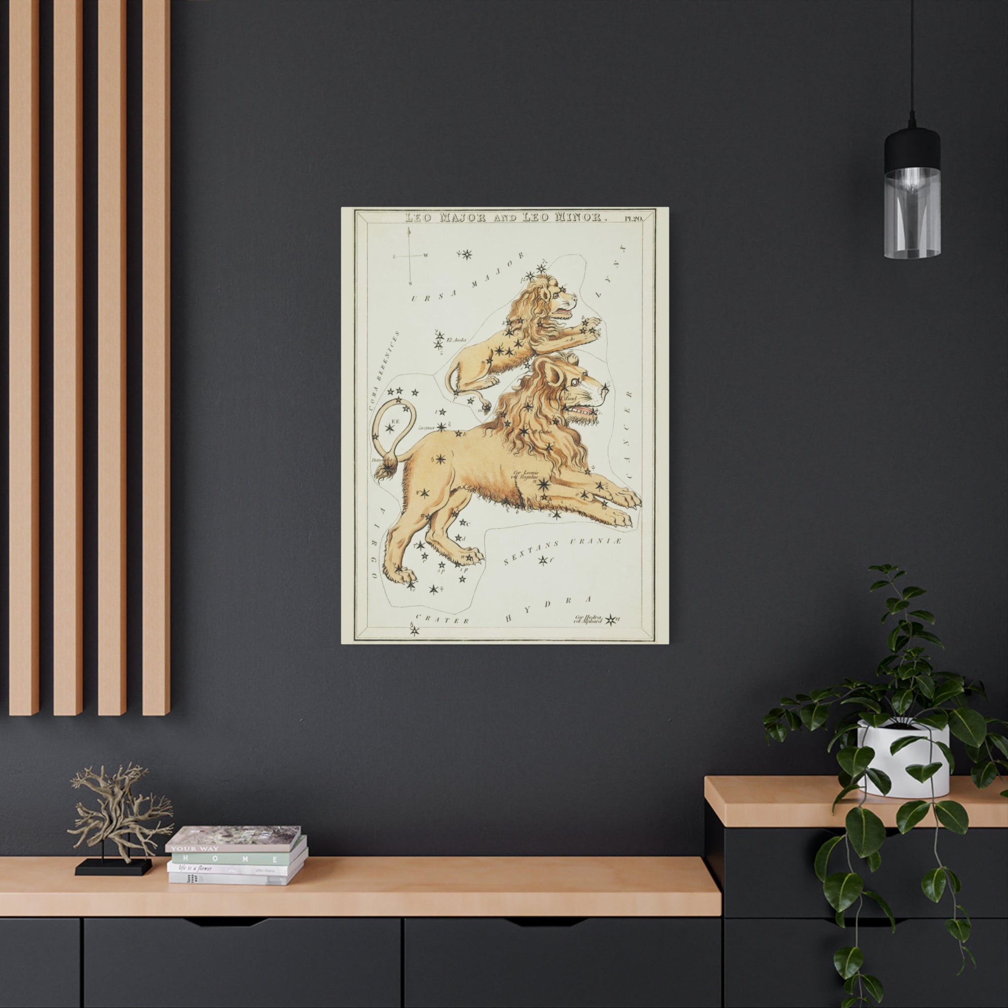 canvas-print-star-map-leo-major-leo-minor-celestial-gift-vintage-map-celestial-map-wall-art-decor-astronomy-decor-constellati