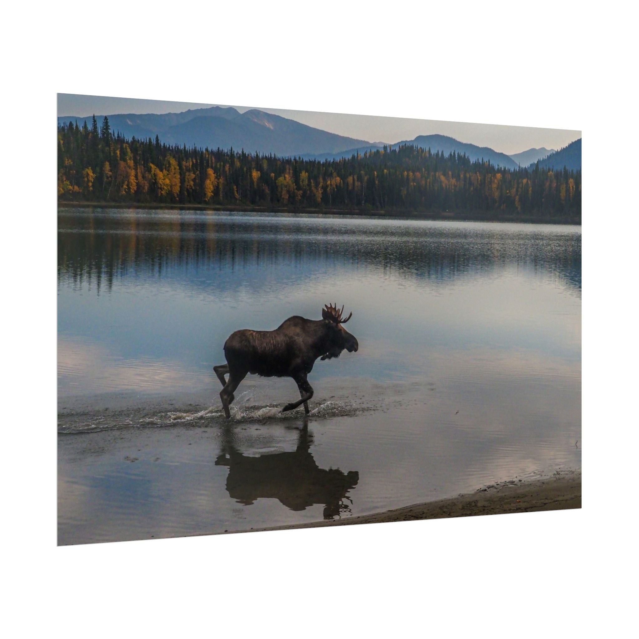 rustic-moose-poster-wall-decor-cabin-lodge-wildlife-painting-nature-home-decor-wilderness-animal-poster-farmhouse-wall-art