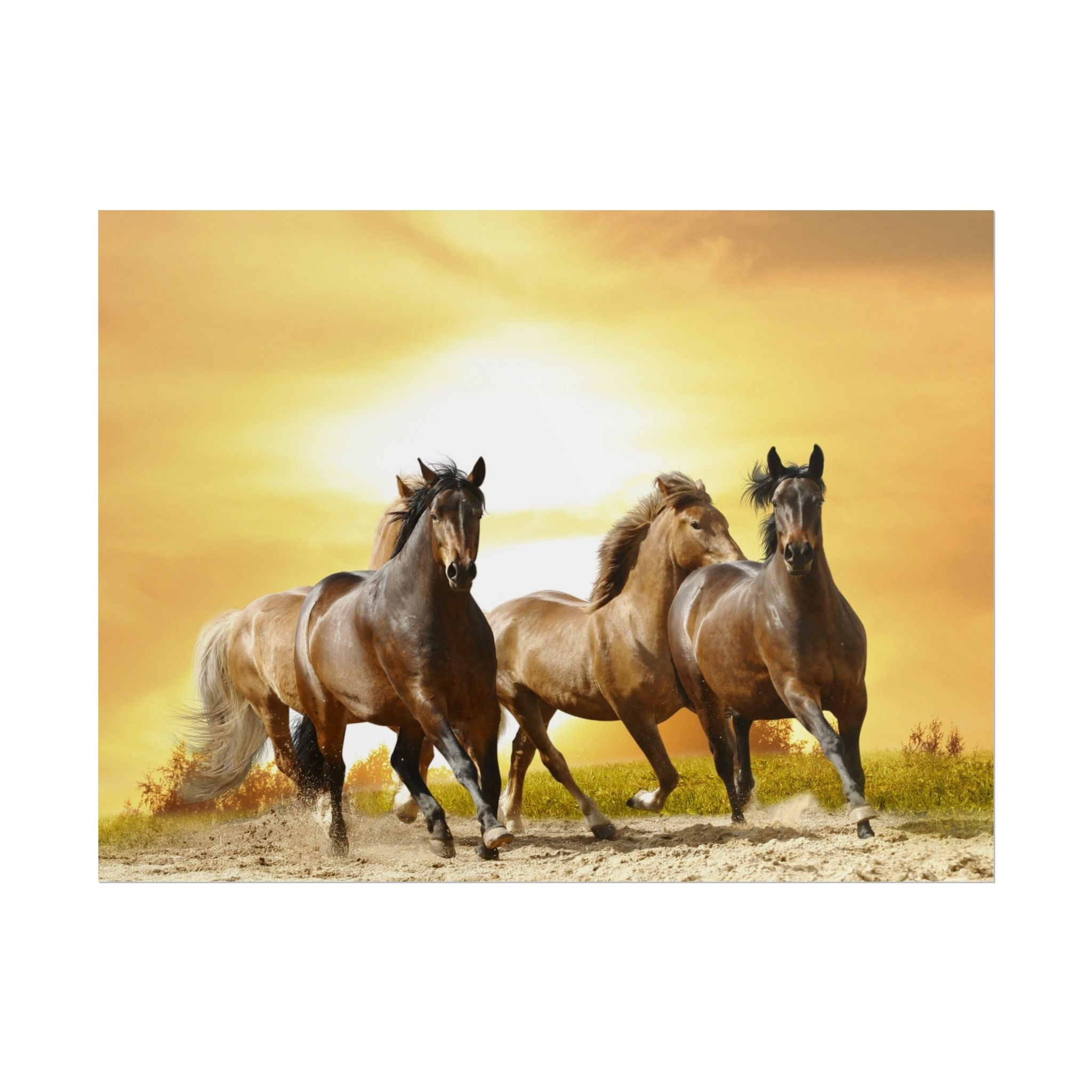 running-horse-poster-wall-art-farmhouse-wall-decor-home-decor-housewarming-gift-horse-print-wall-print-wild-animals