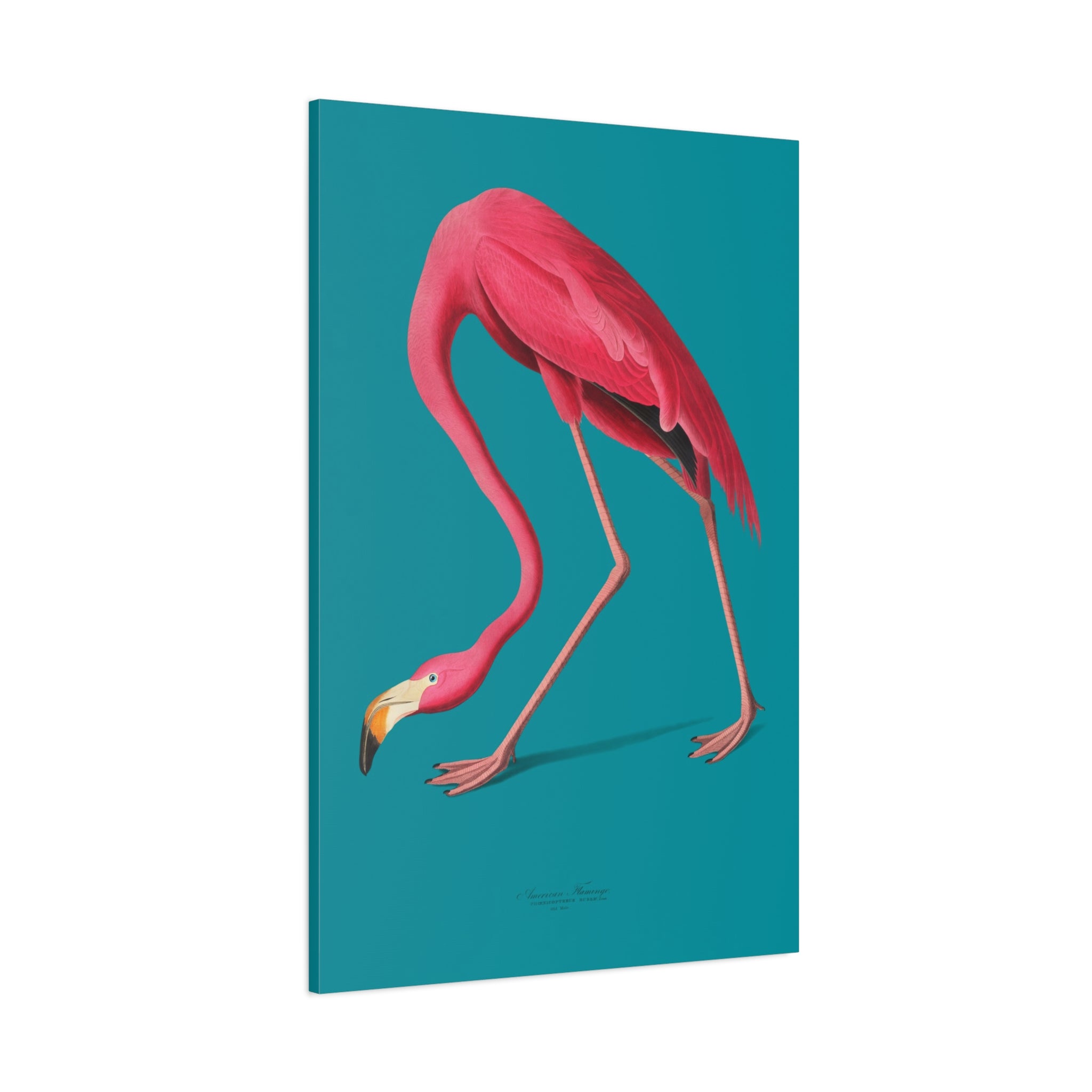 canvas-print-pink-flamingo-wall-art-vintage-home-decor-living-room-decor-stretched-canvas-art-pink-wall-art-flamingo-illustra