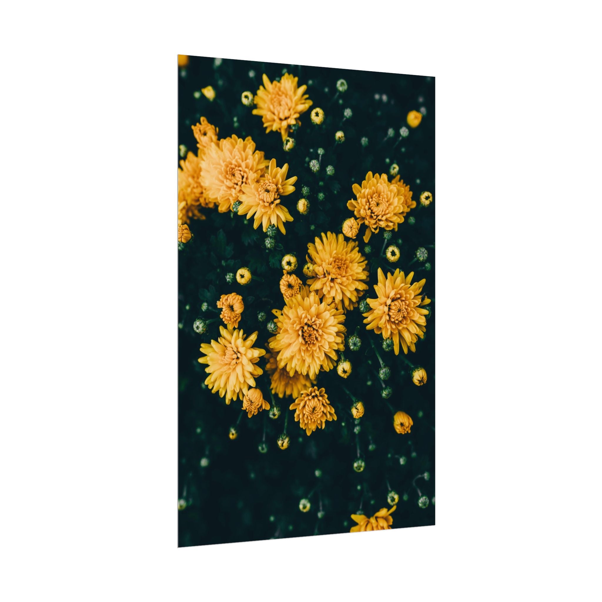 yellow-flower-art-poster-print-floral-wall-decor-floral-home-decor-gift-dark-botanical-art-print
