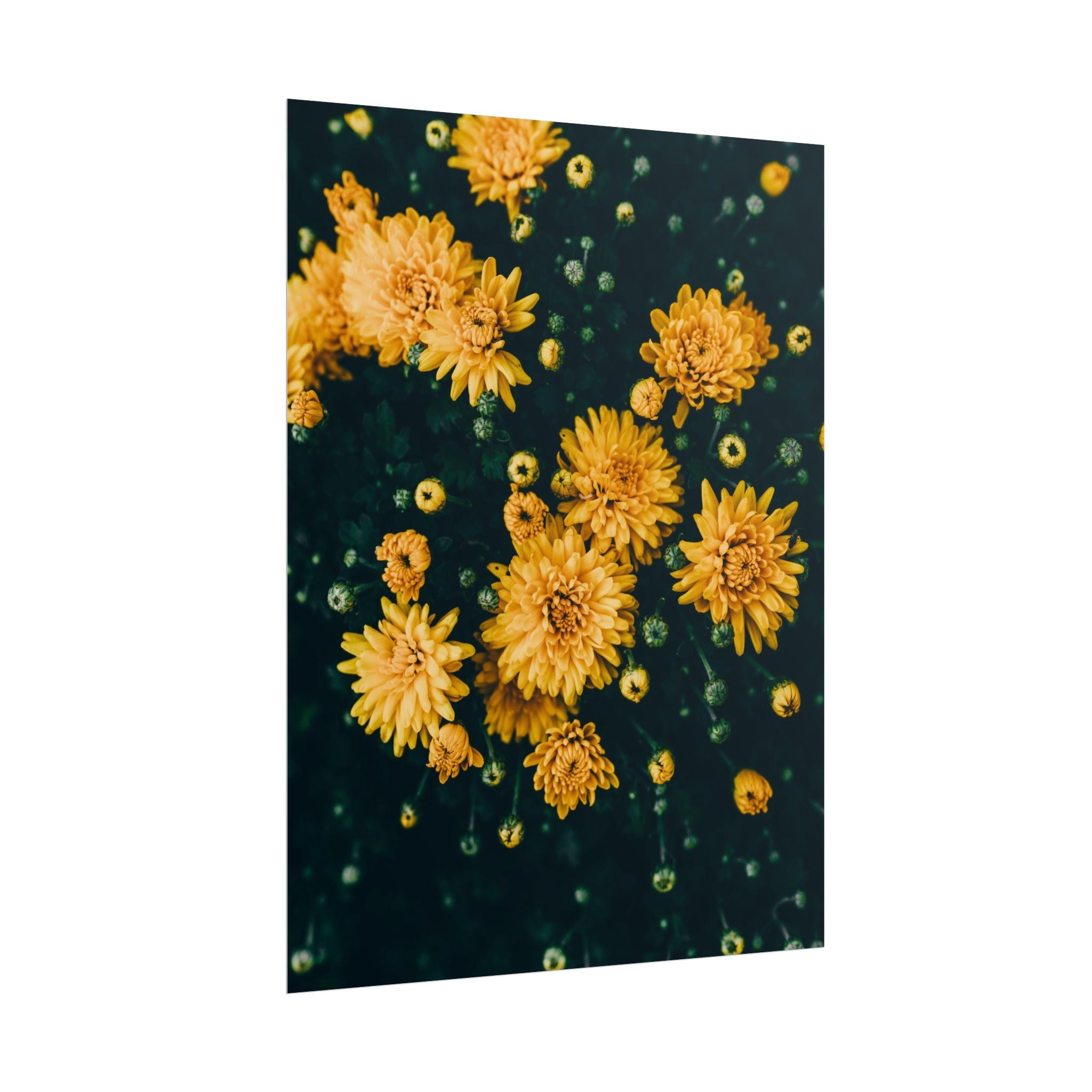 yellow-flower-art-poster-print-floral-wall-decor-floral-home-decor-gift-dark-botanical-art-print