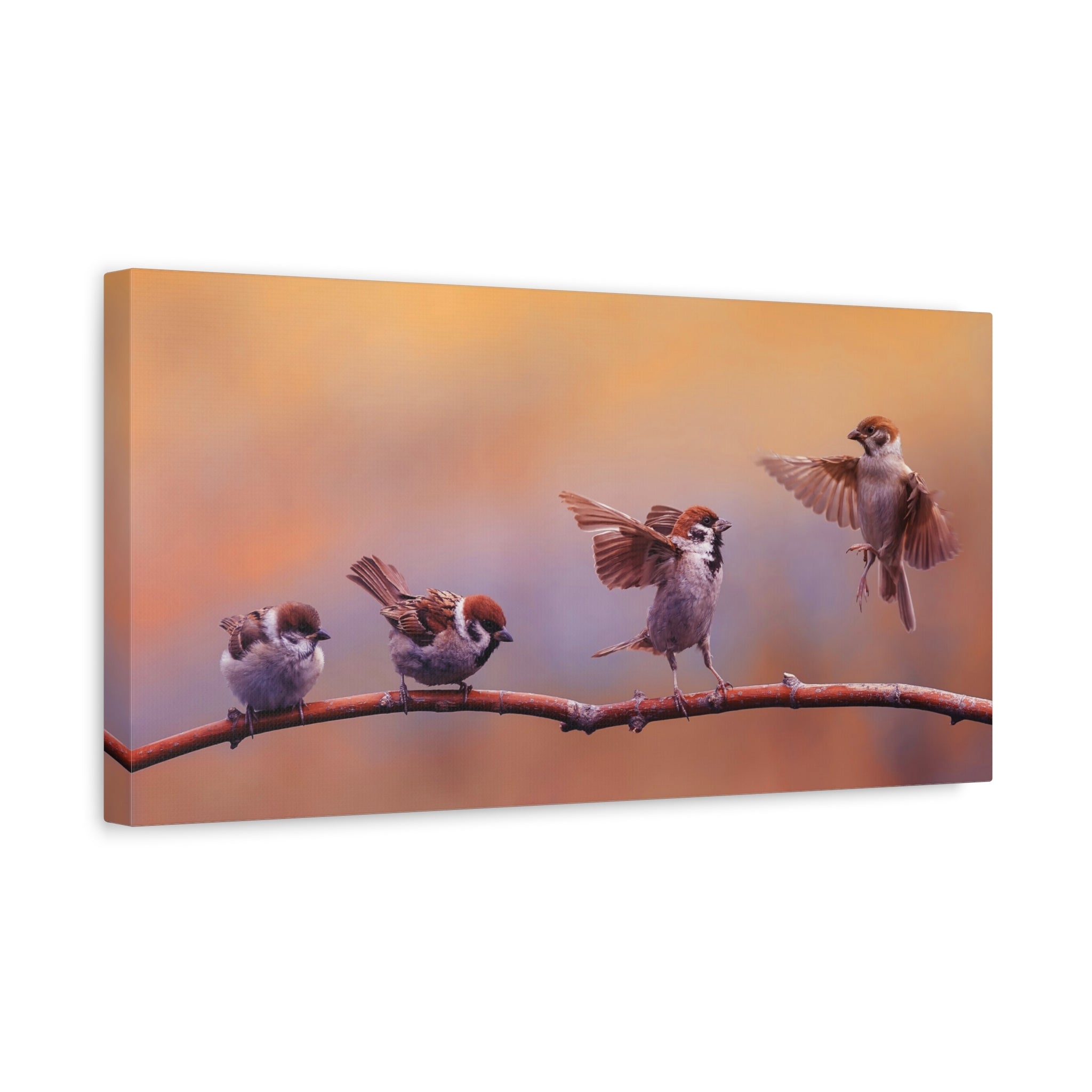 canvas-wall-art-sparrow-bird-lift-off-birds-lover-farmhouse-decor-matte-canvas-print-nature-wall-art-panoramic-animals