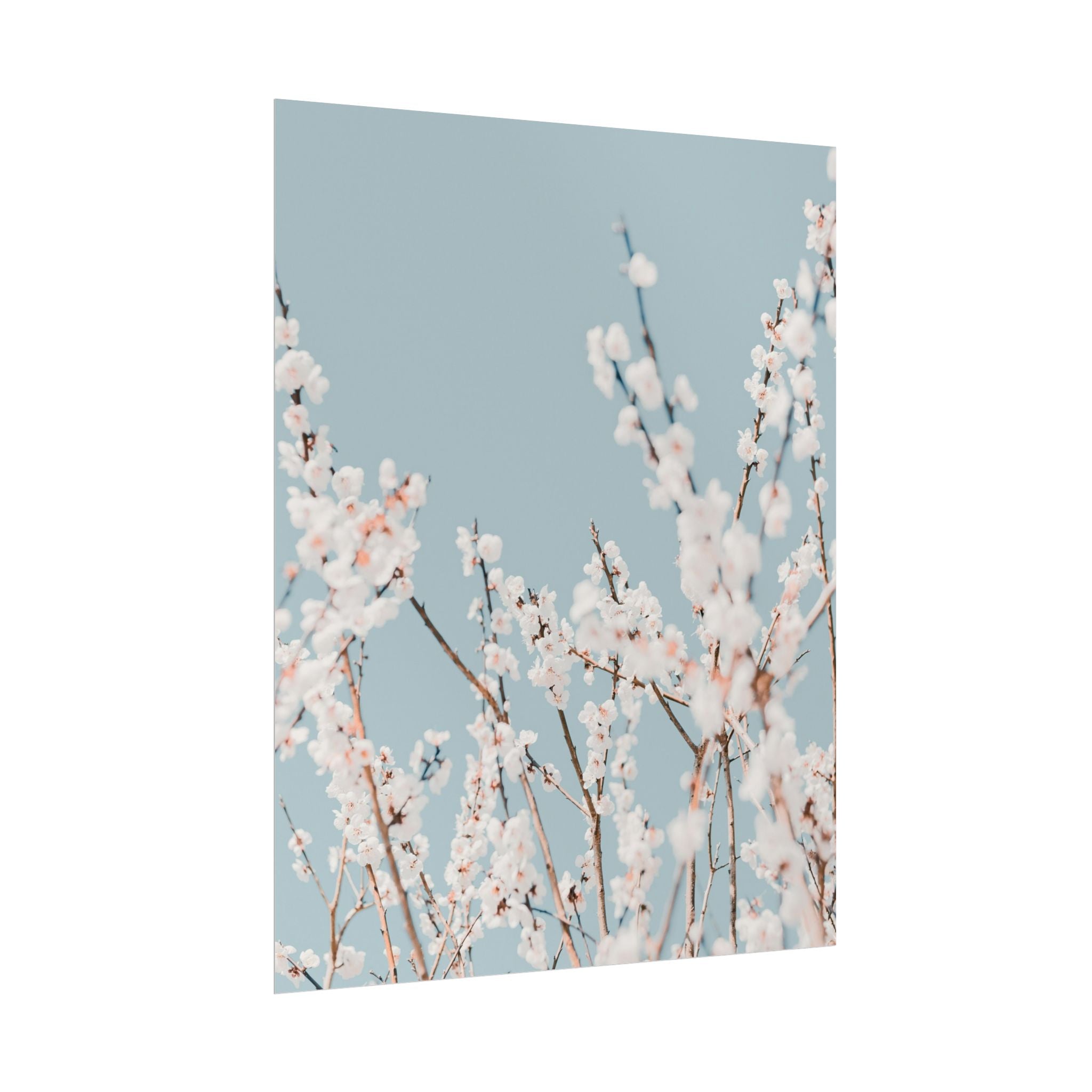 blossom-flowers-poster-print-minimalist-aesthetic-wall-art-fine-art-paper-home-decor-floral-decor-elegant-artwork