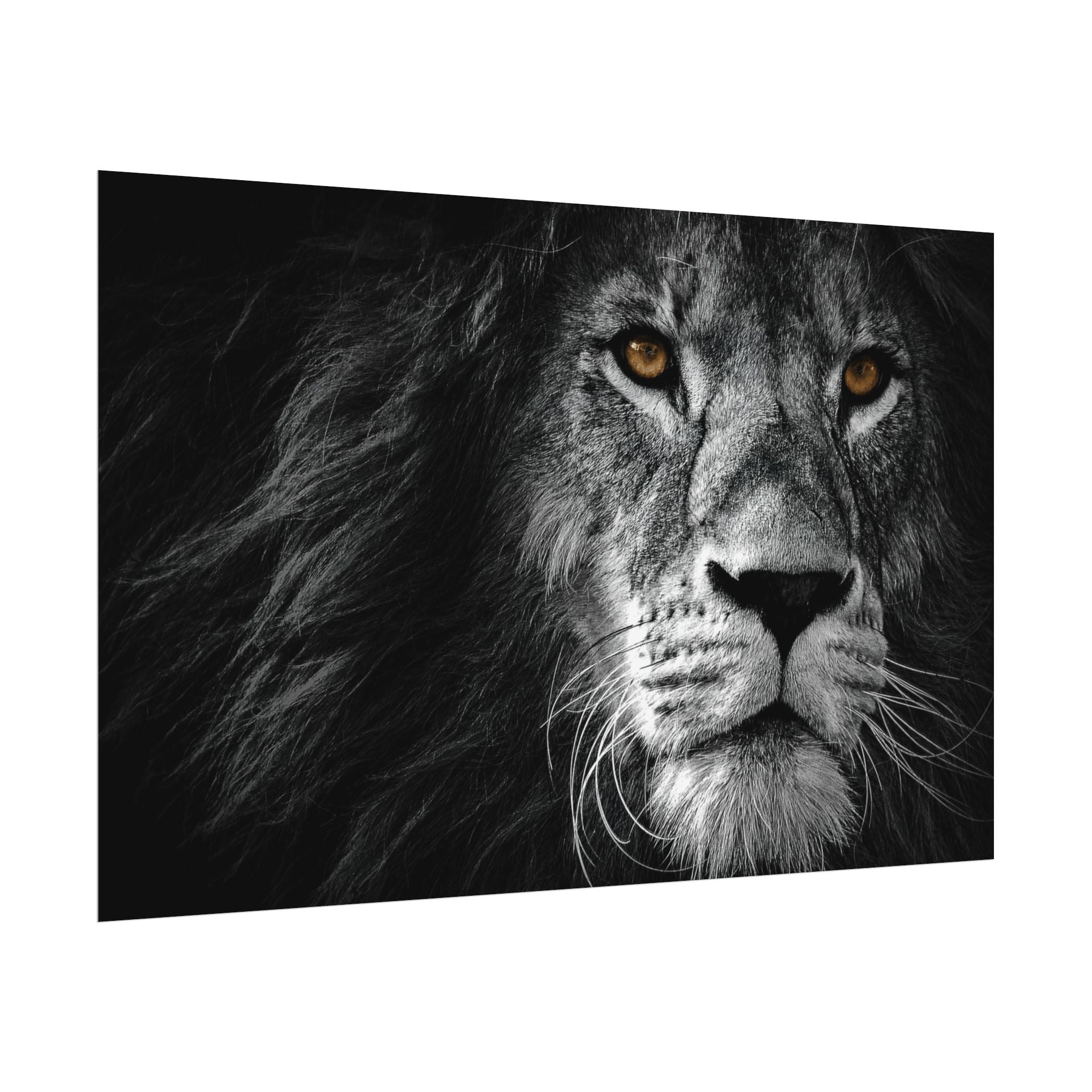 poster-print-lion-wall-art-black-and-white-monochrome-decor-living-room-decor-lion-poster-jungle-animal-art-print-wildlife-sa