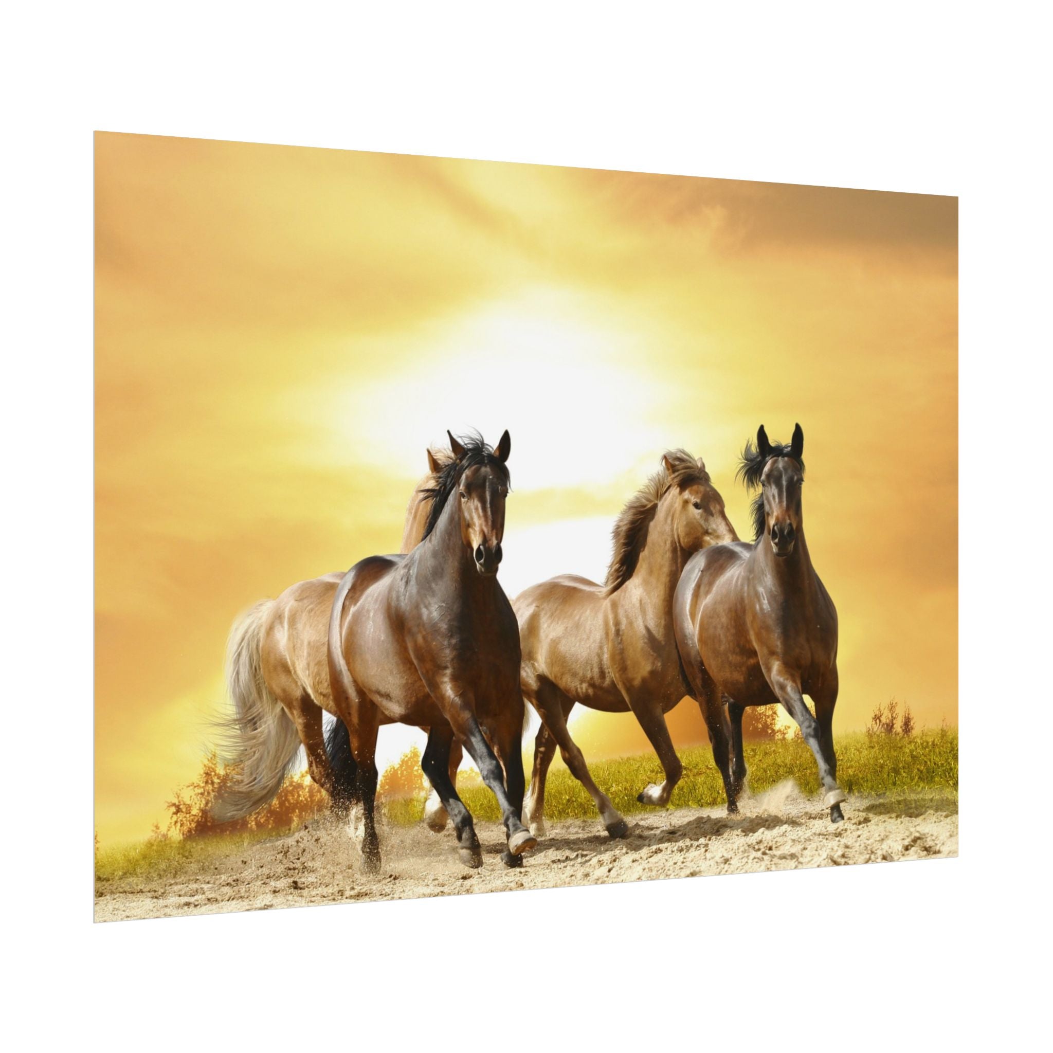 running-horse-poster-wall-art-farmhouse-wall-decor-home-decor-housewarming-gift-horse-print-wall-print-wild-animals