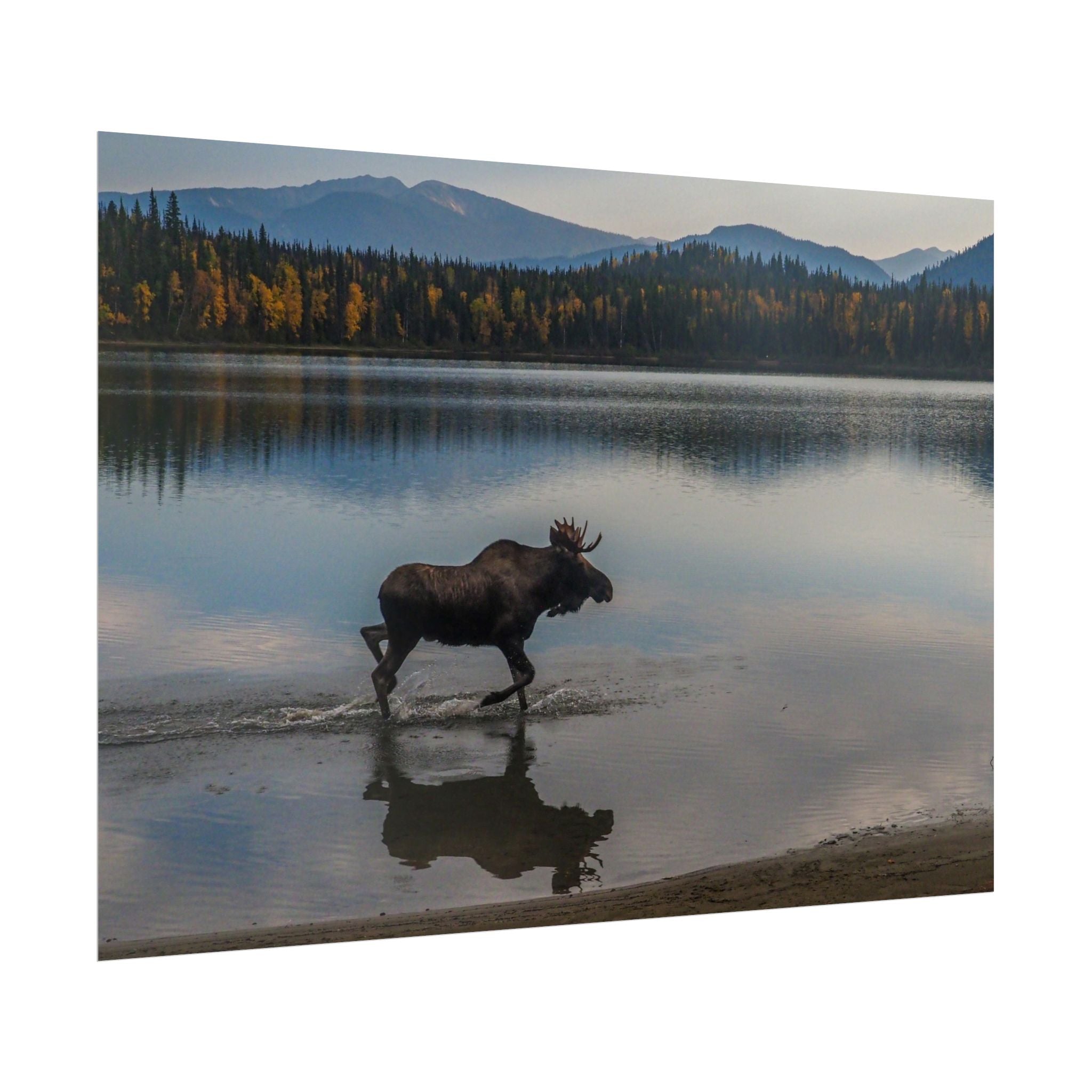 rustic-moose-poster-wall-decor-cabin-lodge-wildlife-painting-nature-home-decor-wilderness-animal-poster-farmhouse-wall-art