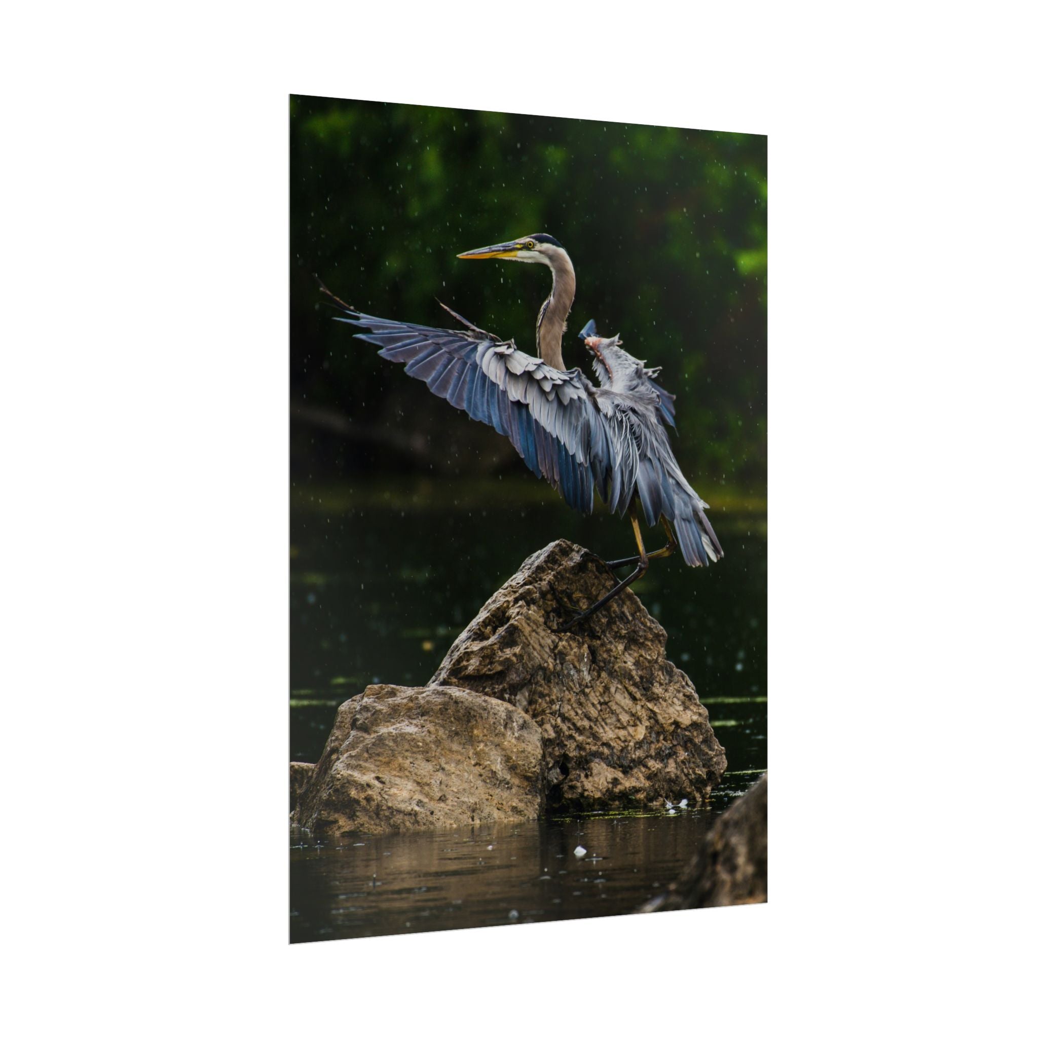great-blue-heron-poster-wall-art-home-decor-bird-lover-gift-nature-wall-hanging-wildlife-poster
