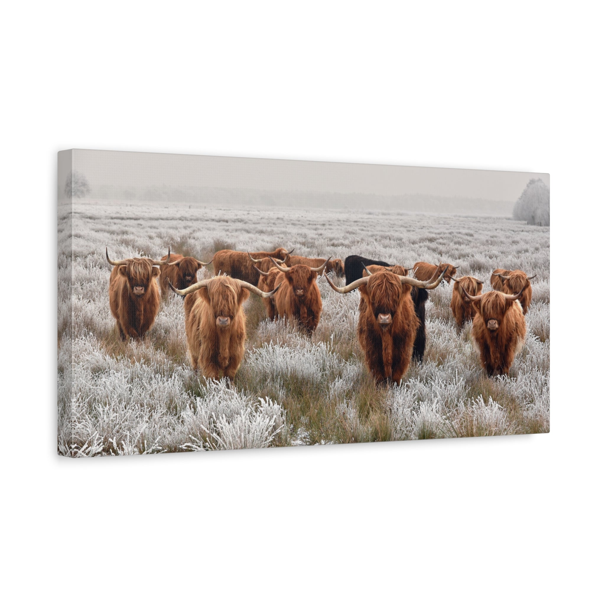 canvas-wall-art-scottish-highland-cow-longhorn-home-decor-stretched-matte-canvas-print-wall-hanging-farmhouse-art-rustic