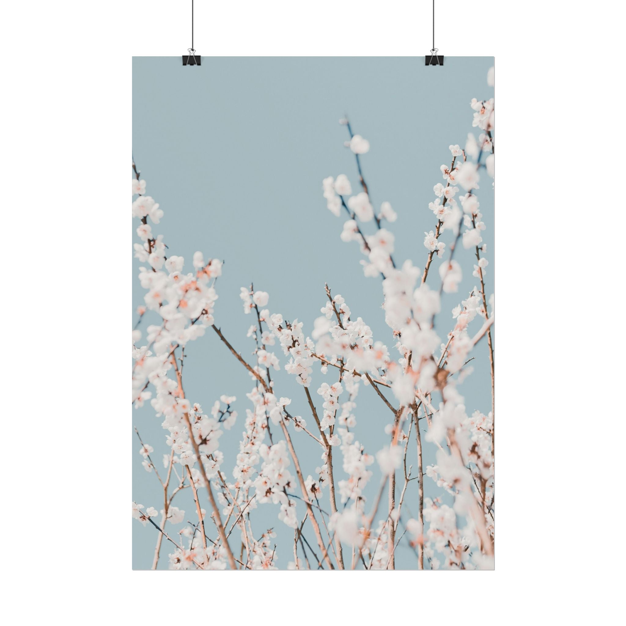 blossom-flowers-poster-print-minimalist-aesthetic-wall-art-fine-art-paper-home-decor-floral-decor-elegant-artwork