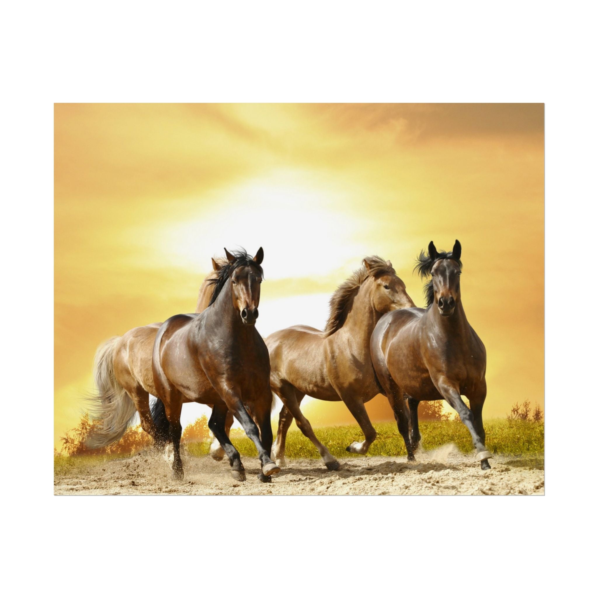 running-horse-poster-wall-art-farmhouse-wall-decor-home-decor-housewarming-gift-horse-print-wall-print-wild-animals