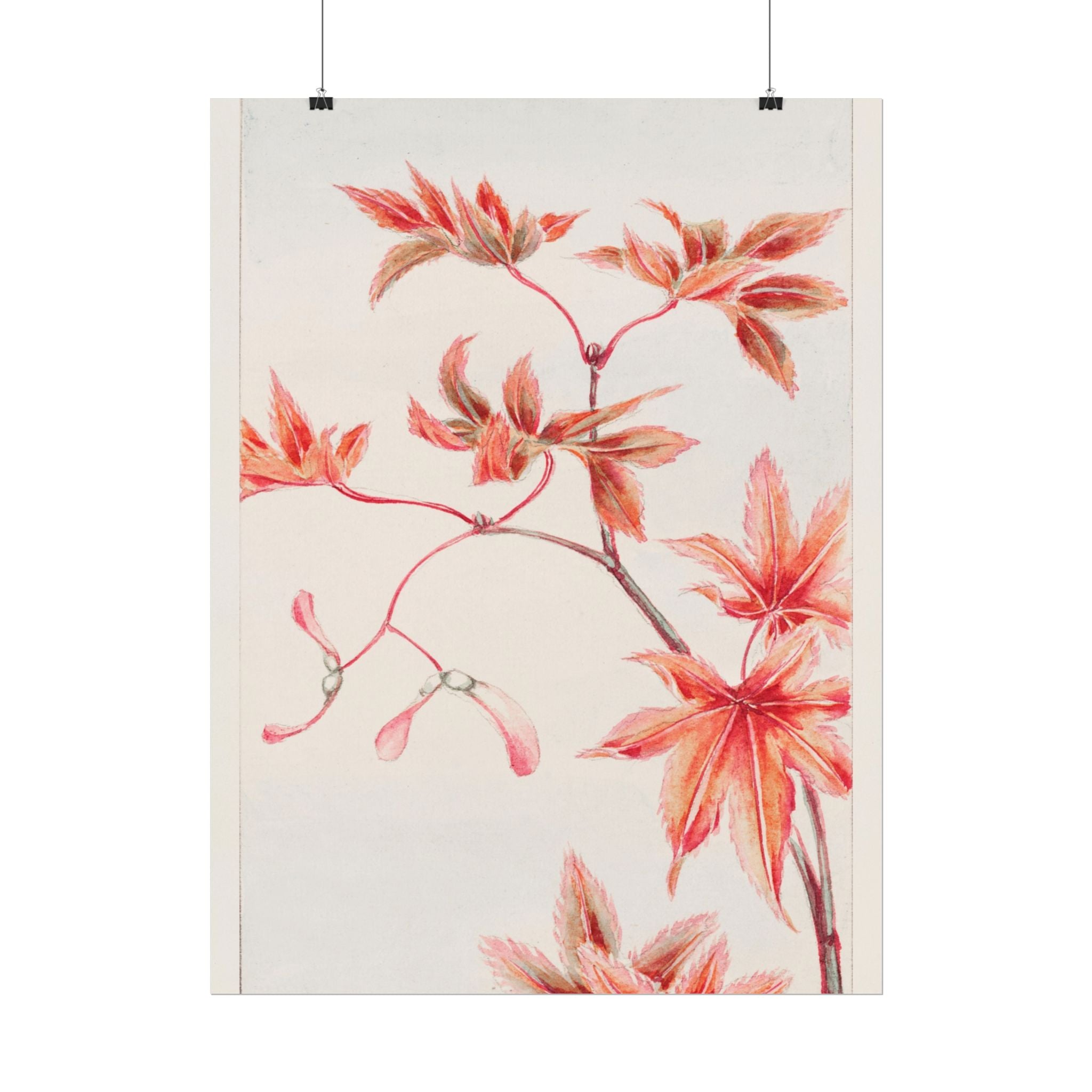 poster-print-branch-of-momiji-maple-tree-with-leaves-floral-wall-art-rolled-posters-wall-decor-room-decoration-nature-art-bot