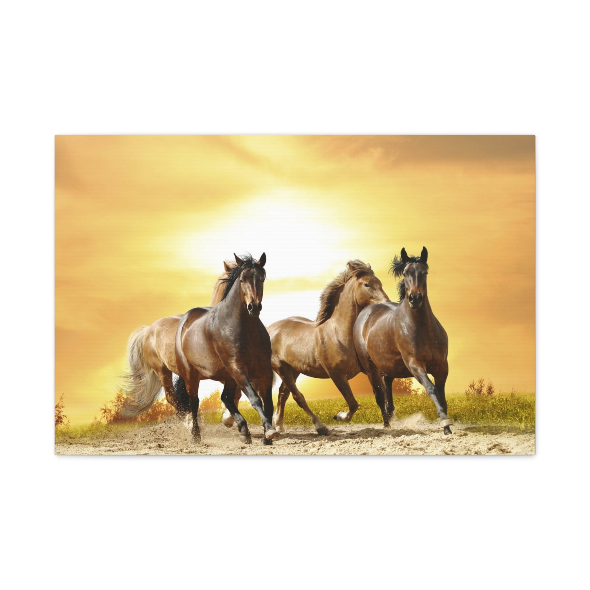 canvas-print-running-horse-wall-art-farmhouse-wall-decor-home-decor-housewarming-gift-horse-print-wall-print