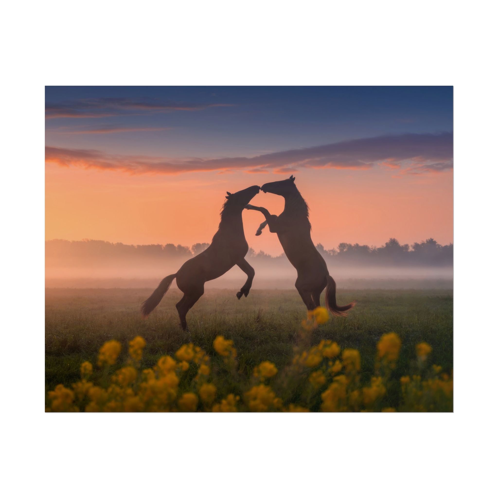 Wild Rising Horses Poster Print, Field of Flowers Decor, Home Decor, Farmhouse Wall Decor, Nature Wall Art, Horse Canvas Print, Mustang