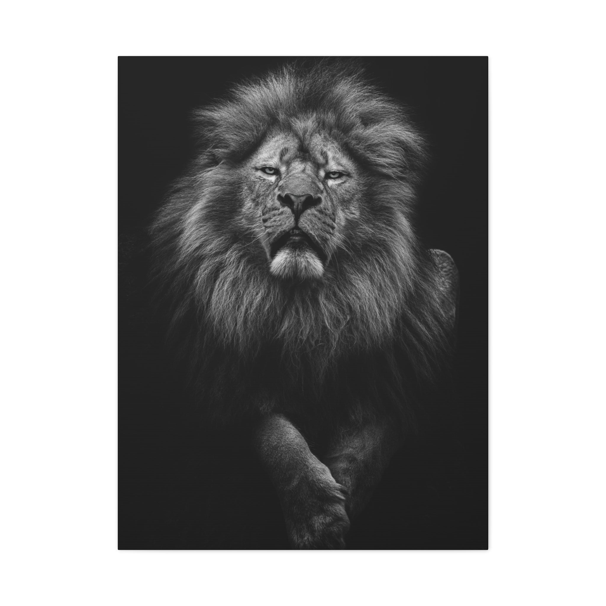 canvas-print-lion-wall-art-black-and-white-living-room-decor-matte-stretched-lion-poster-jungle-animal-art-print-wildlife-saf