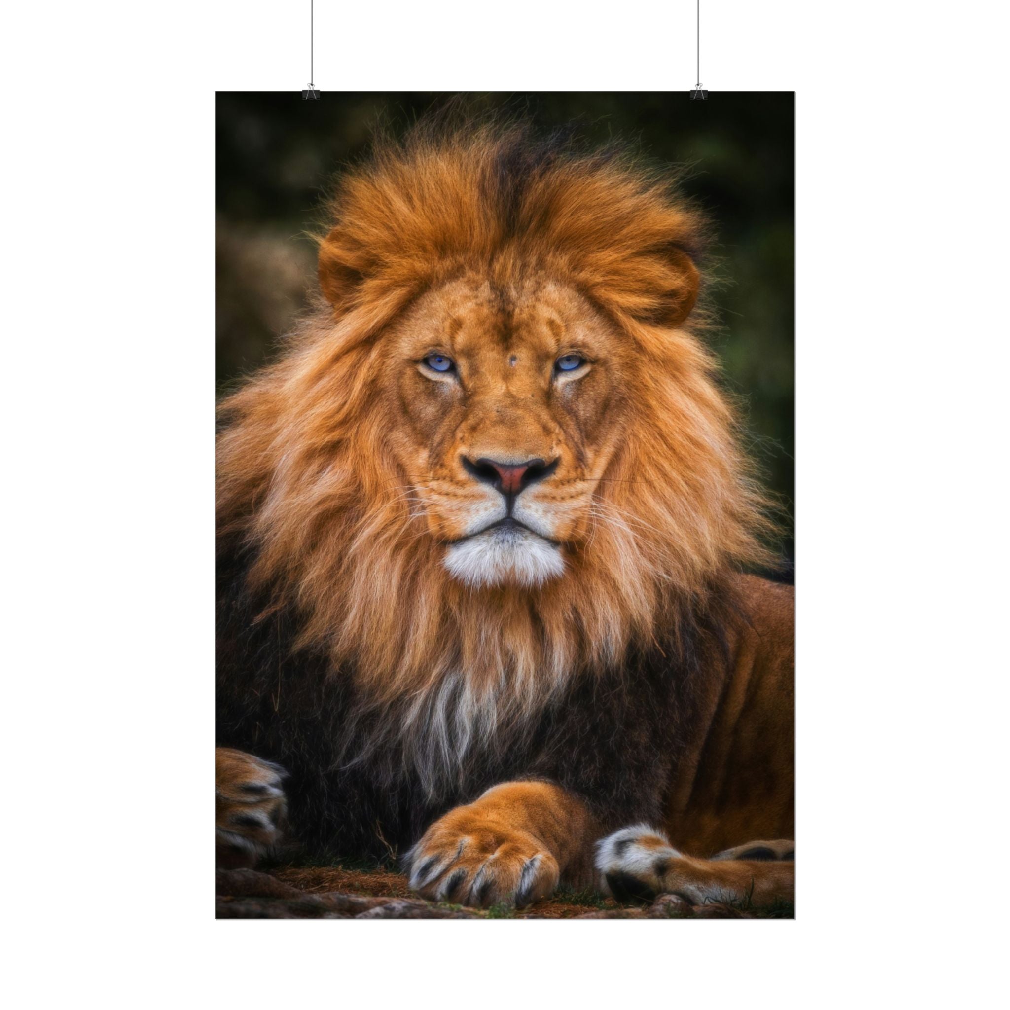 blue-eyed-lion-poster-wall-art-wildlife-home-decor-animal-lover-gift-safari-decoration-wildlife-art-print-lion-wall-decor