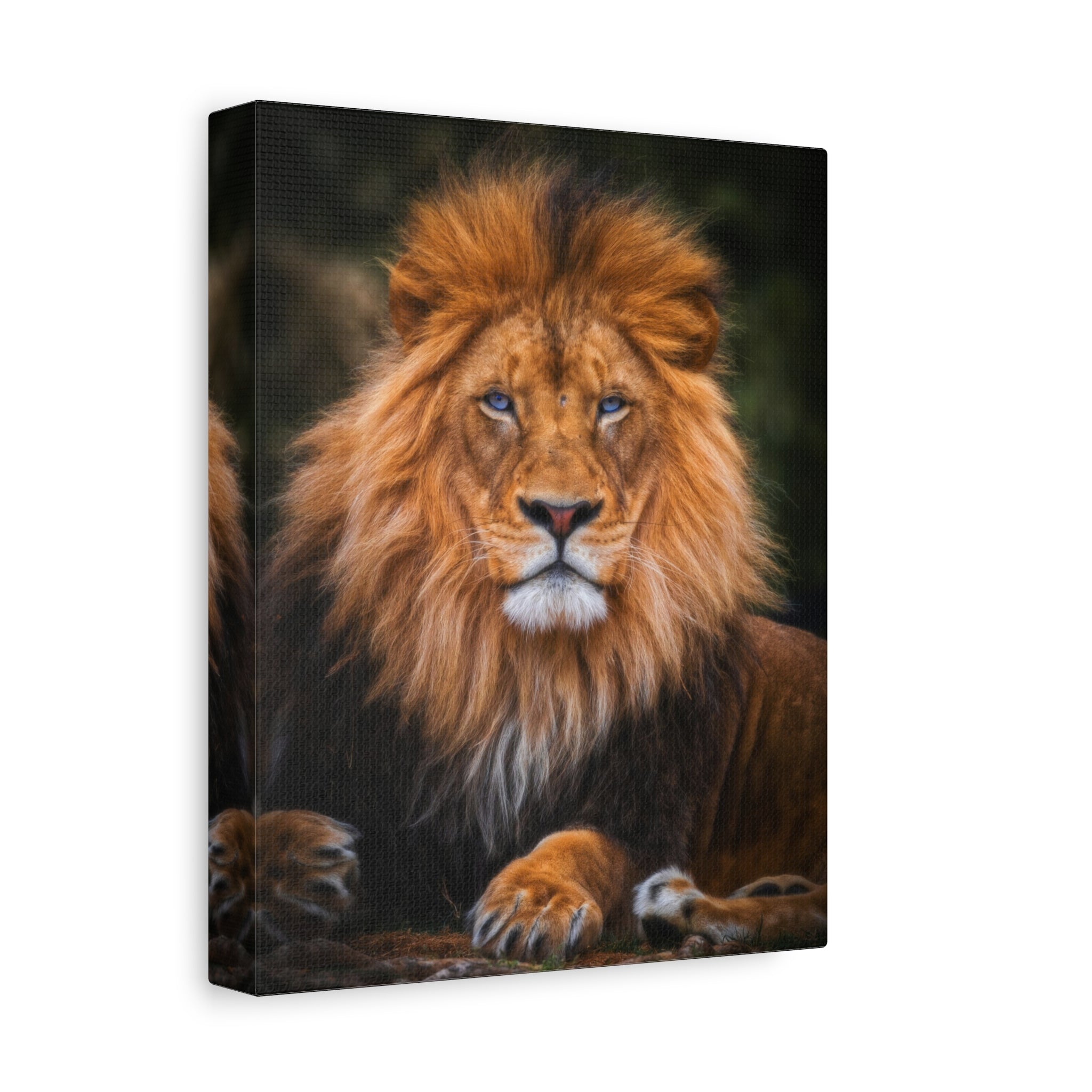 canvas-print-blue-eyed-lion-wall-art-wildlife-home-decor-animal-lover-gift-safari-nursery-decoration-wildlife-art-print-lion-