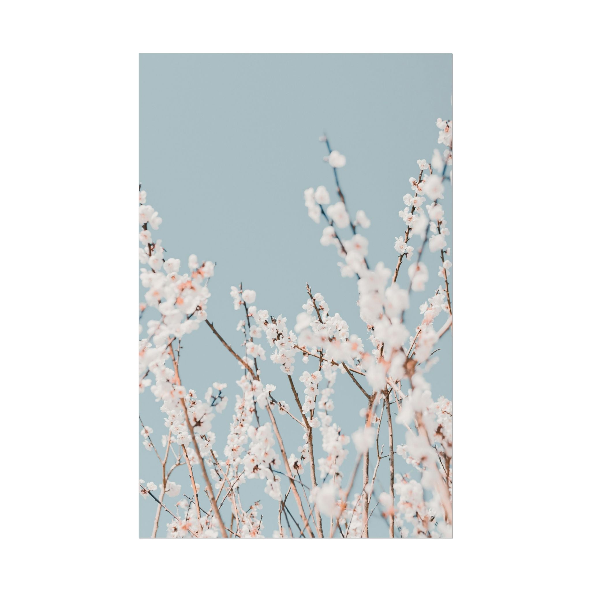 blossom-flowers-poster-print-minimalist-aesthetic-wall-art-fine-art-paper-home-decor-floral-decor-elegant-artwork