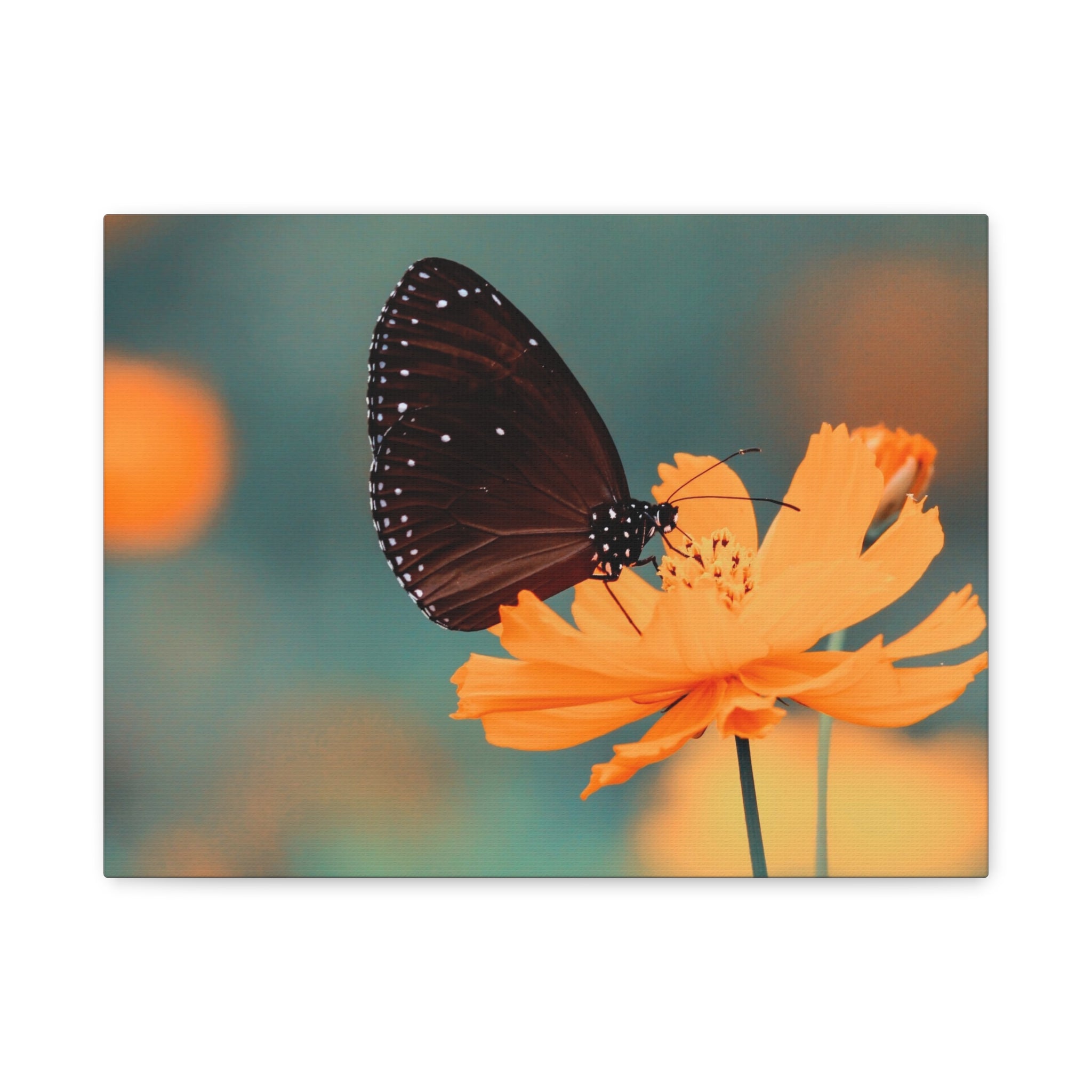 canvas-print-aesthetic-butterfly-monarch-butterfly-living-room-decor-housewarming-gift-wall-art-nature-wall-art-butterfly-dec