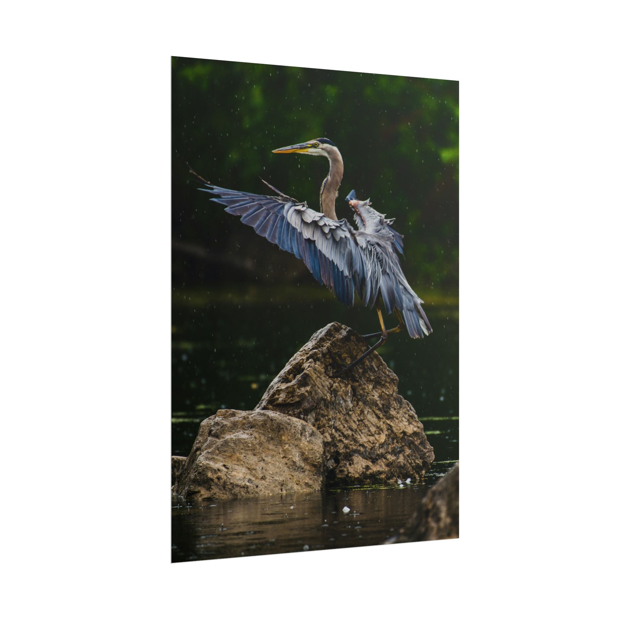great-blue-heron-poster-wall-art-home-decor-bird-lover-gift-nature-wall-hanging-wildlife-poster