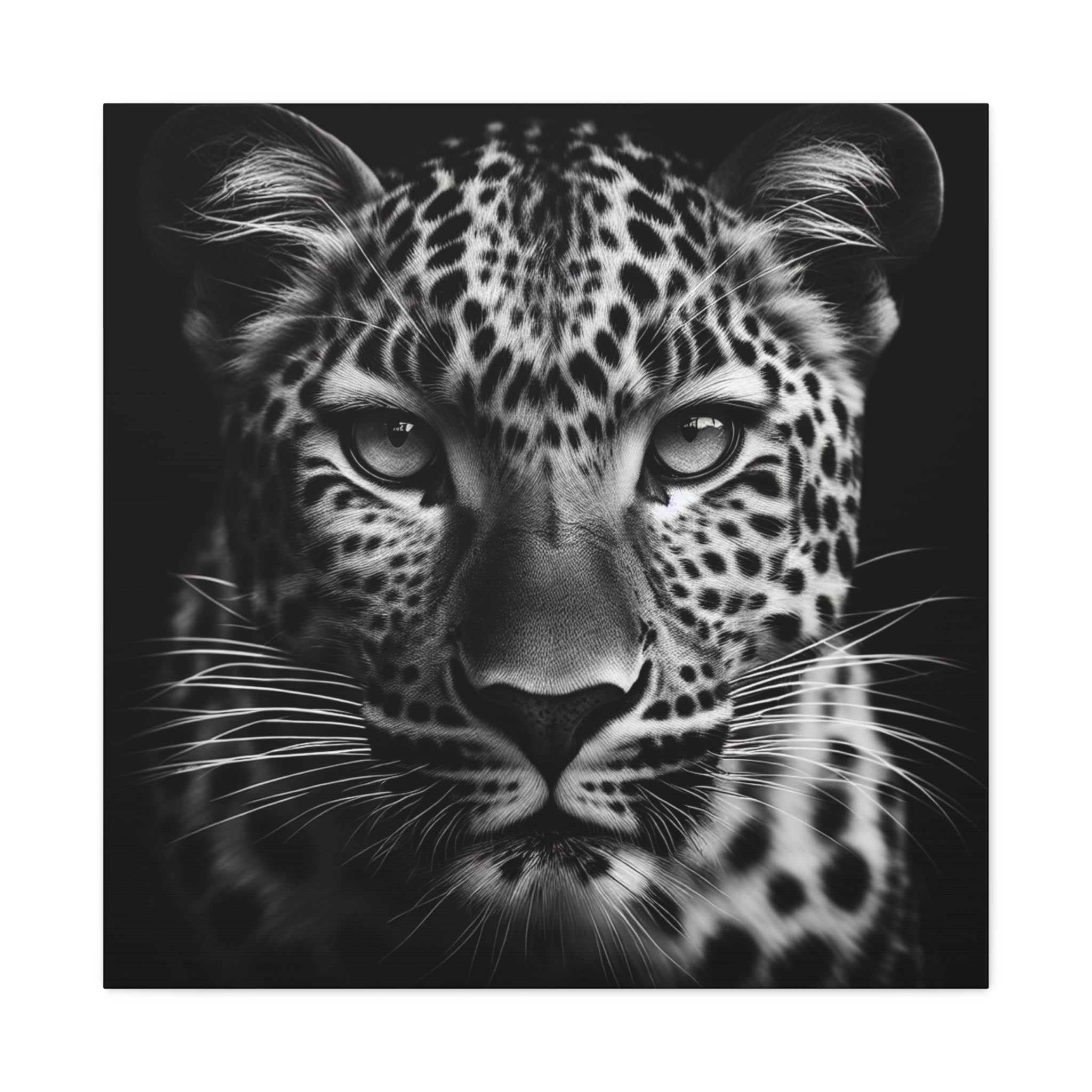 canvas-print-leopard-africa-savanna-wall-decor-black-and-white-photography-living-room-art-stretched-matte-canvas-home-decor