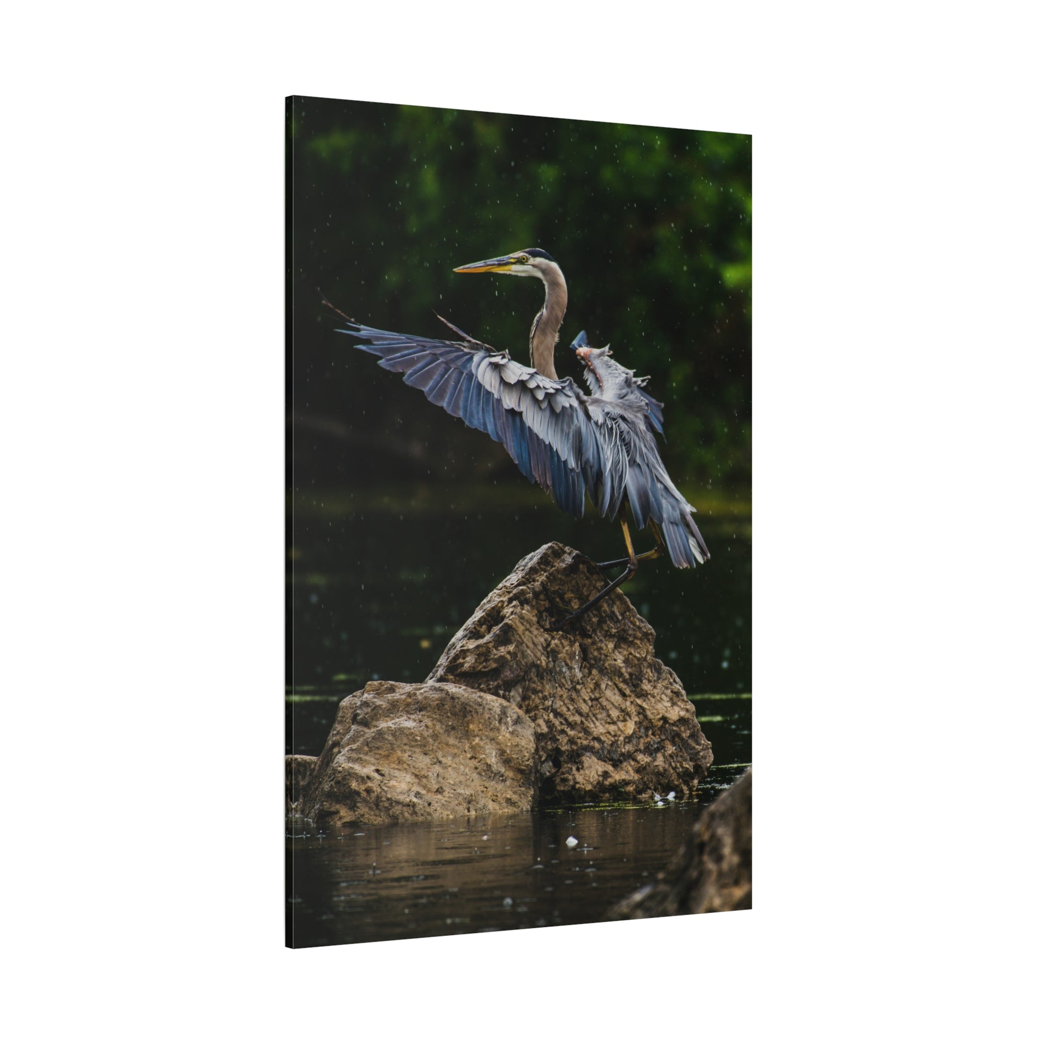canvas-print-wall-art-great-blue-heron-matte-canvas-stretched-home-decor-bird-lover-gift-nature-wall-hanging-wildlife
