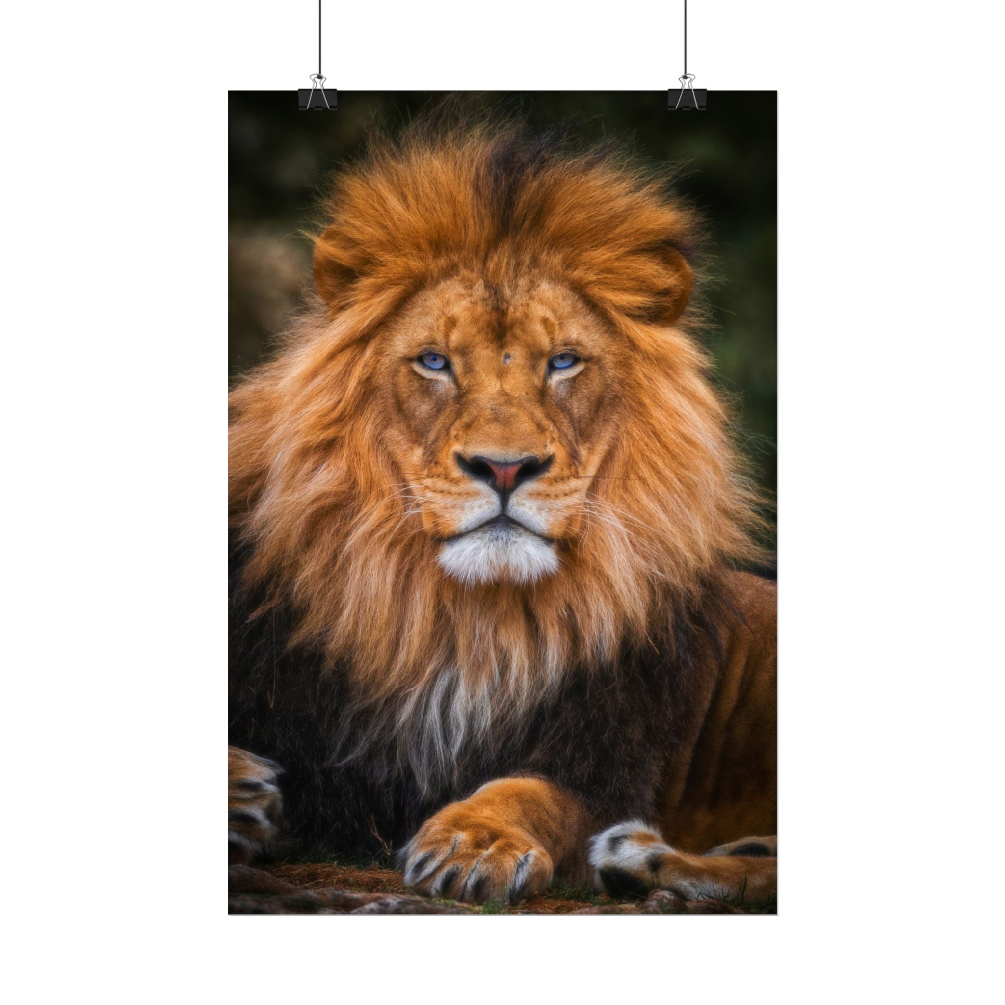 blue-eyed-lion-poster-wall-art-wildlife-home-decor-animal-lover-gift-safari-decoration-wildlife-art-print-lion-wall-decor