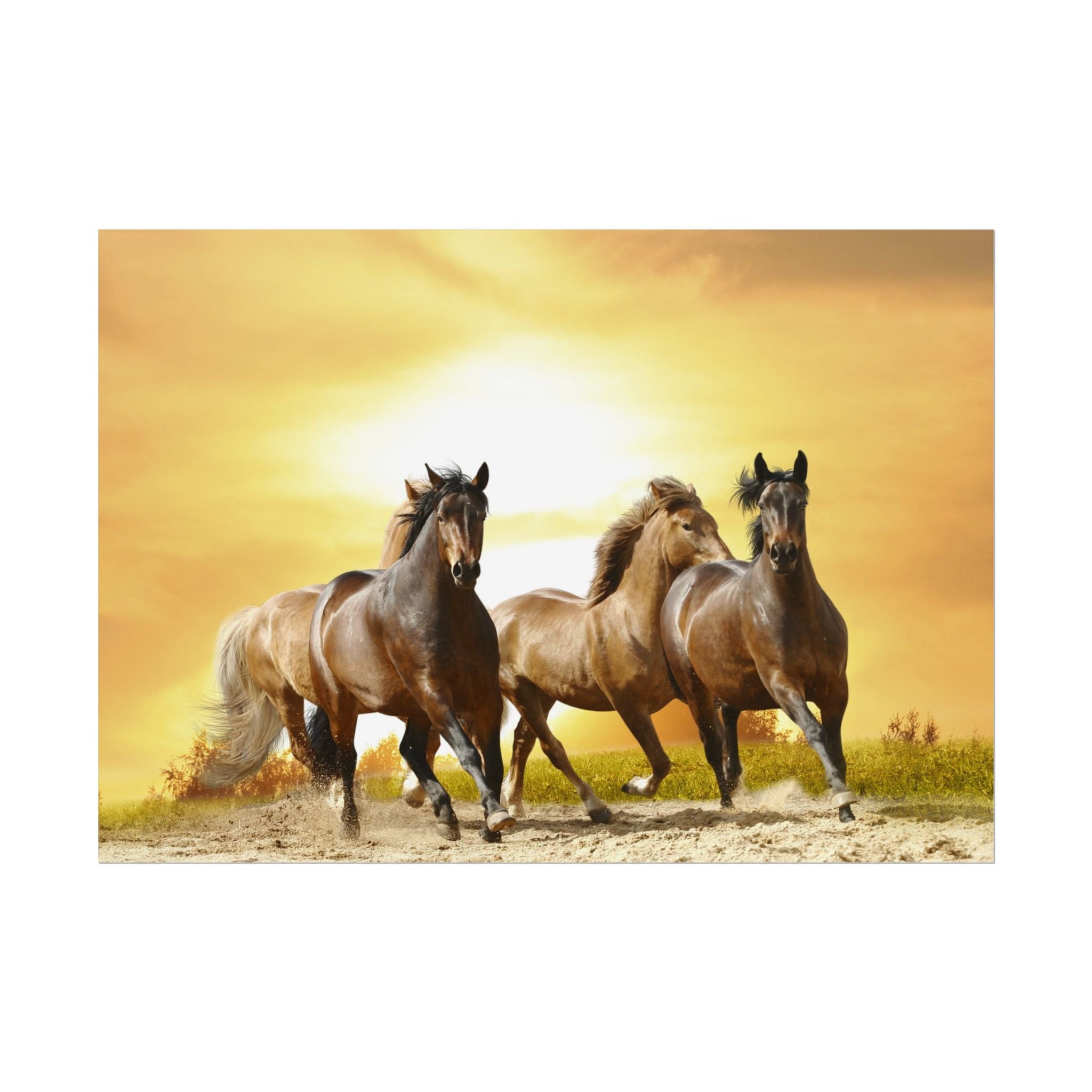 running-horse-poster-wall-art-farmhouse-wall-decor-home-decor-housewarming-gift-horse-print-wall-print-wild-animals