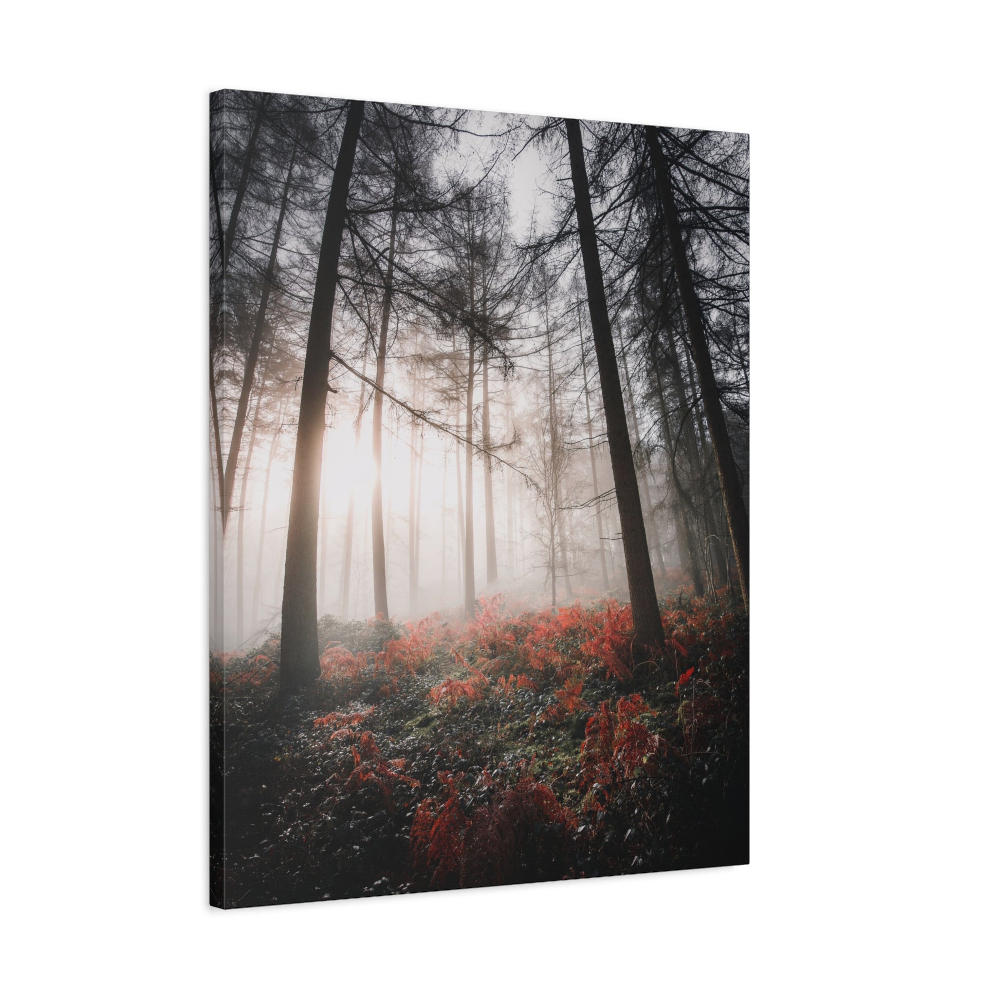 canvas-print-misty-woods-art-living-room-wall-decor-sunlight-forest-landscape-aesthetic-nature-art-stretched-artwork-matte-ca