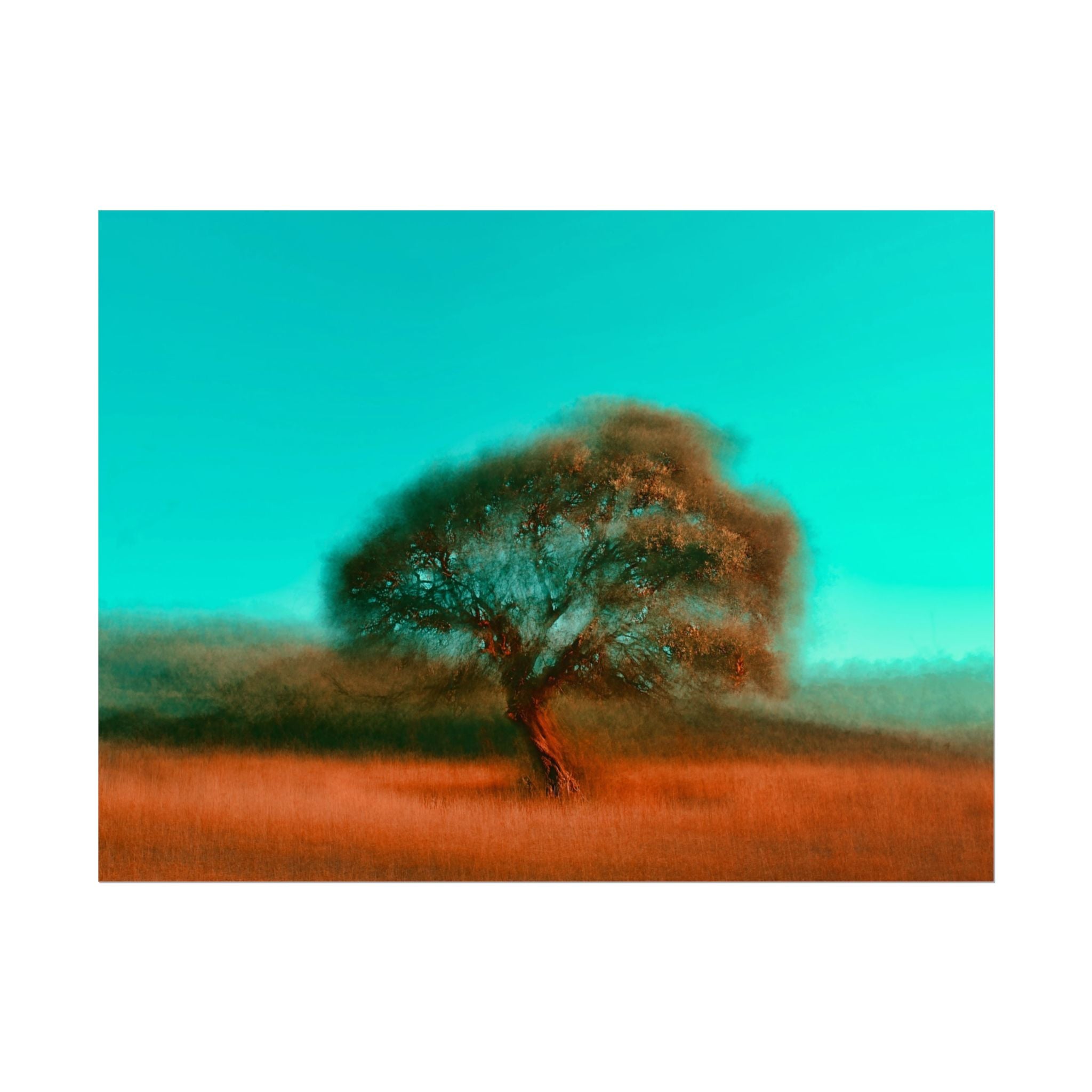 tree-photography-poster-print-rustic-nature-wall-decor-fine-art-paper-print-gift-for-nature-lover-home-office-decor-wall-art-