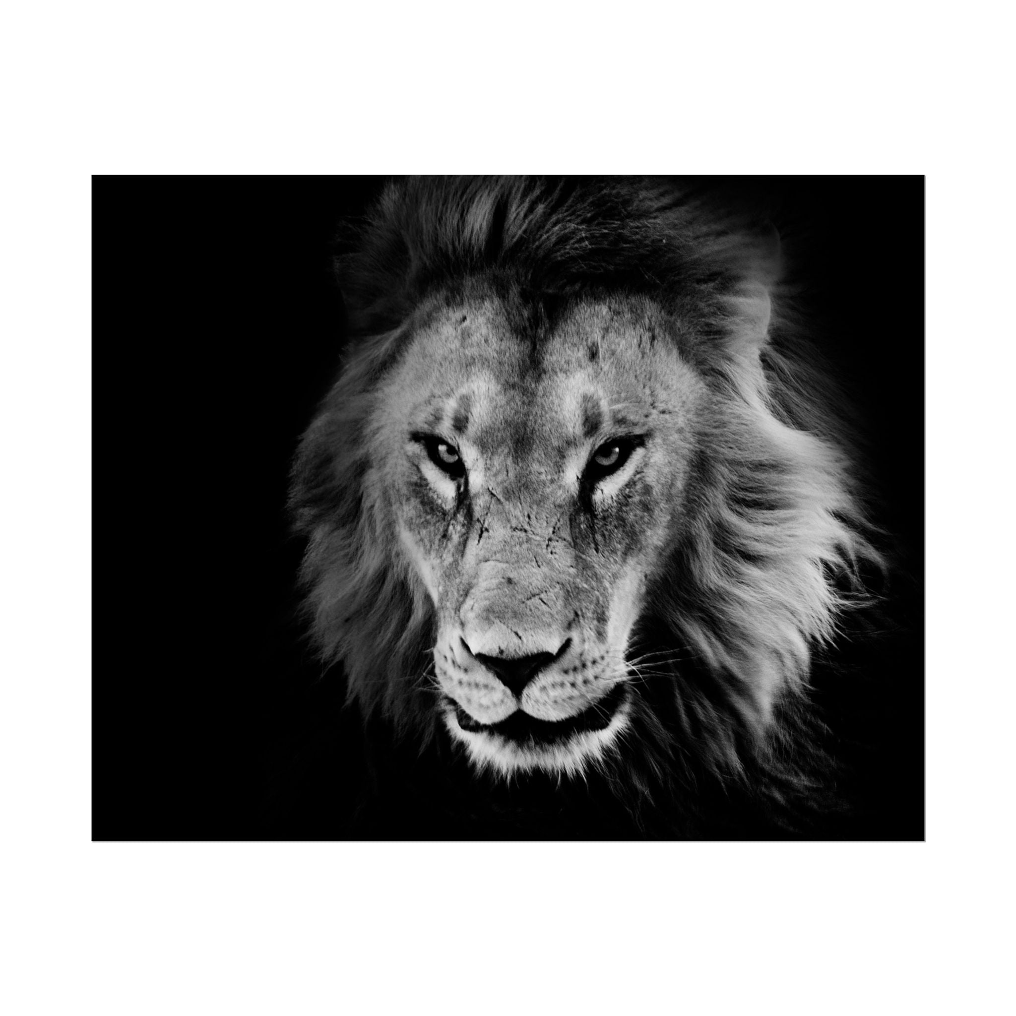 poster-print-lion-wall-art-black-and-white-living-room-decor-monochrome-art-lion-poster-jungle-animal-art-print-wildlife-safa