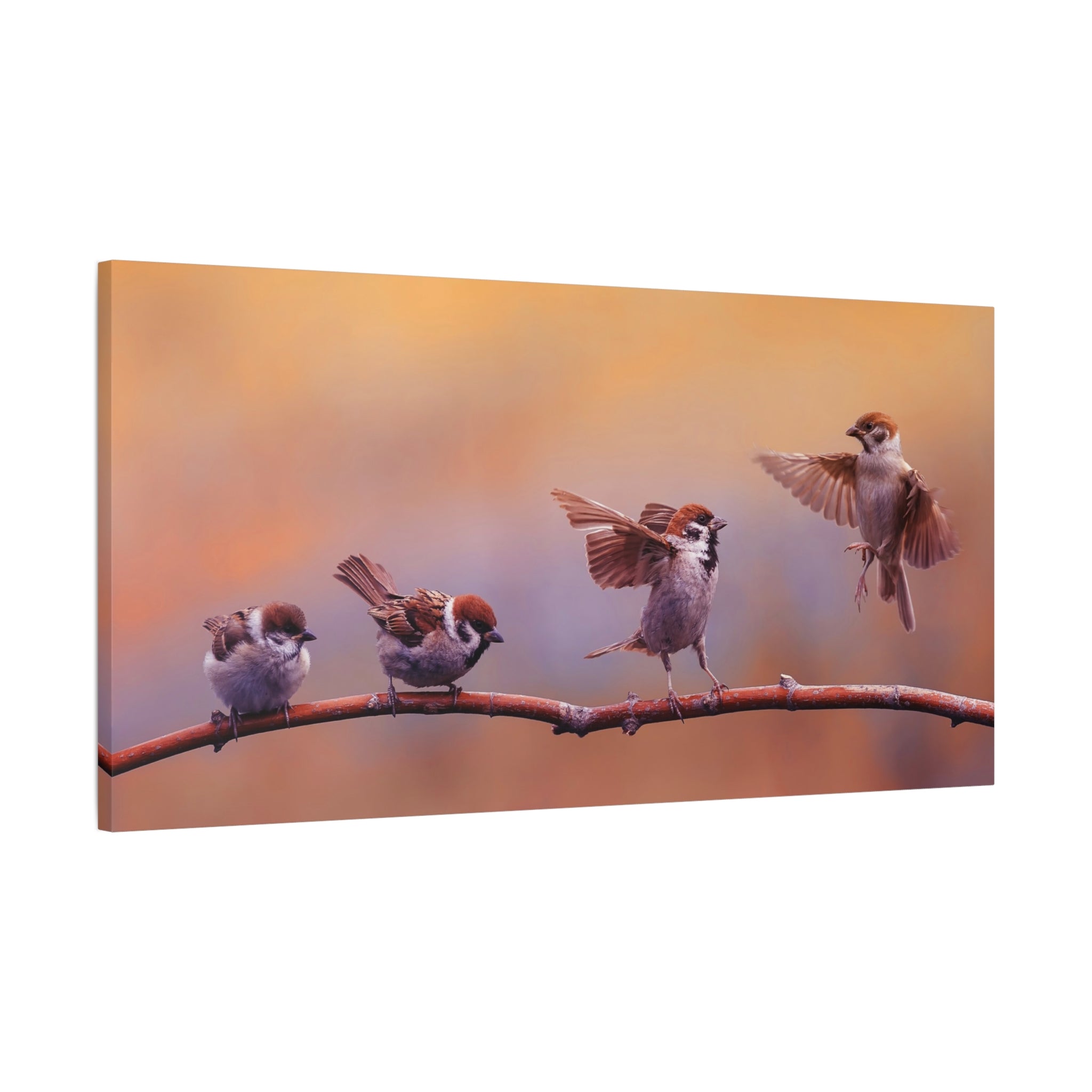 canvas-wall-art-sparrow-bird-lift-off-birds-lover-farmhouse-decor-matte-canvas-print-nature-wall-art-panoramic-animals