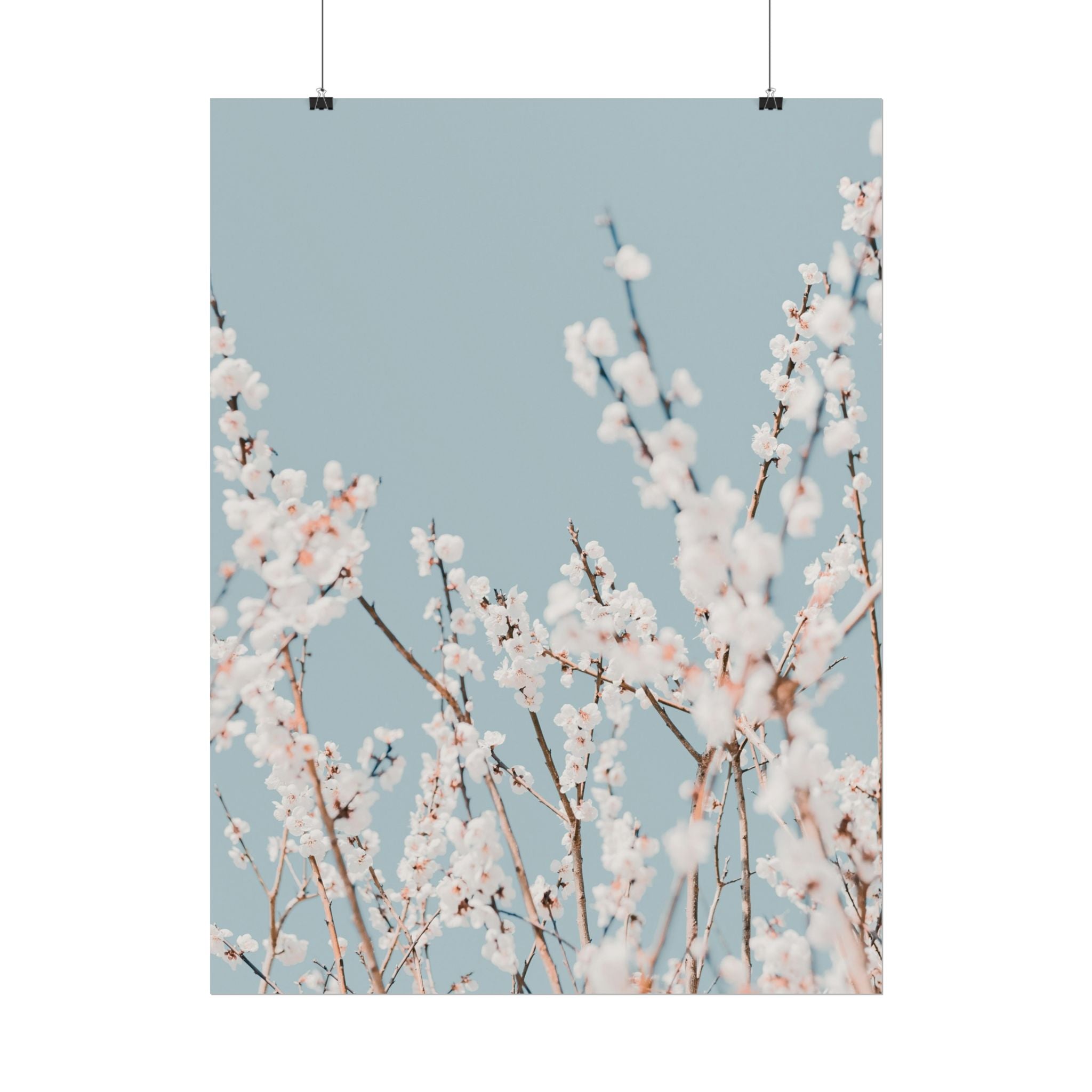blossom-flowers-poster-print-minimalist-aesthetic-wall-art-fine-art-paper-home-decor-floral-decor-elegant-artwork