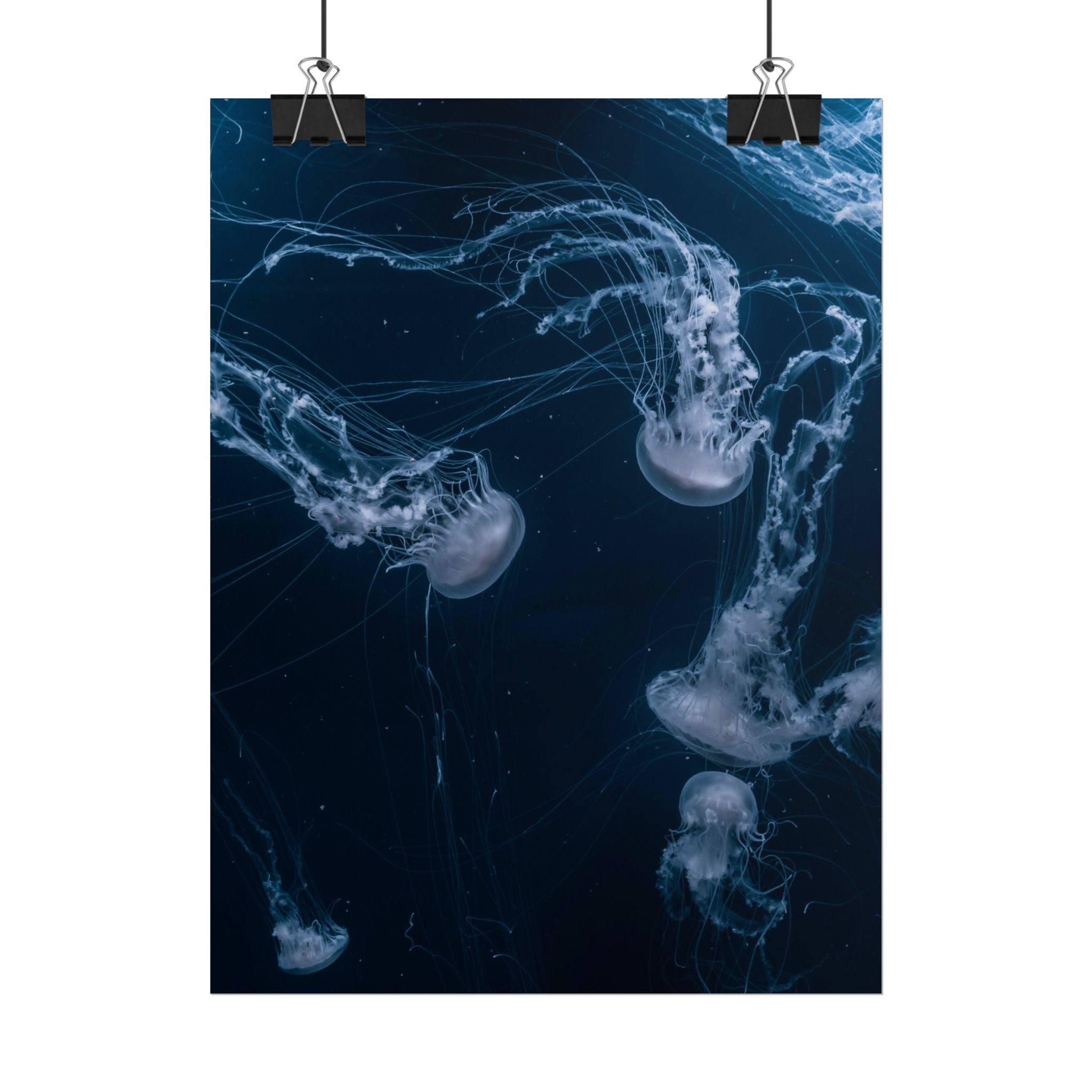 long-jellyfish-wall-art-poster-print-wall-hanging-ocean-life-deep-ocean-decor-home-decor-housewarming-gift