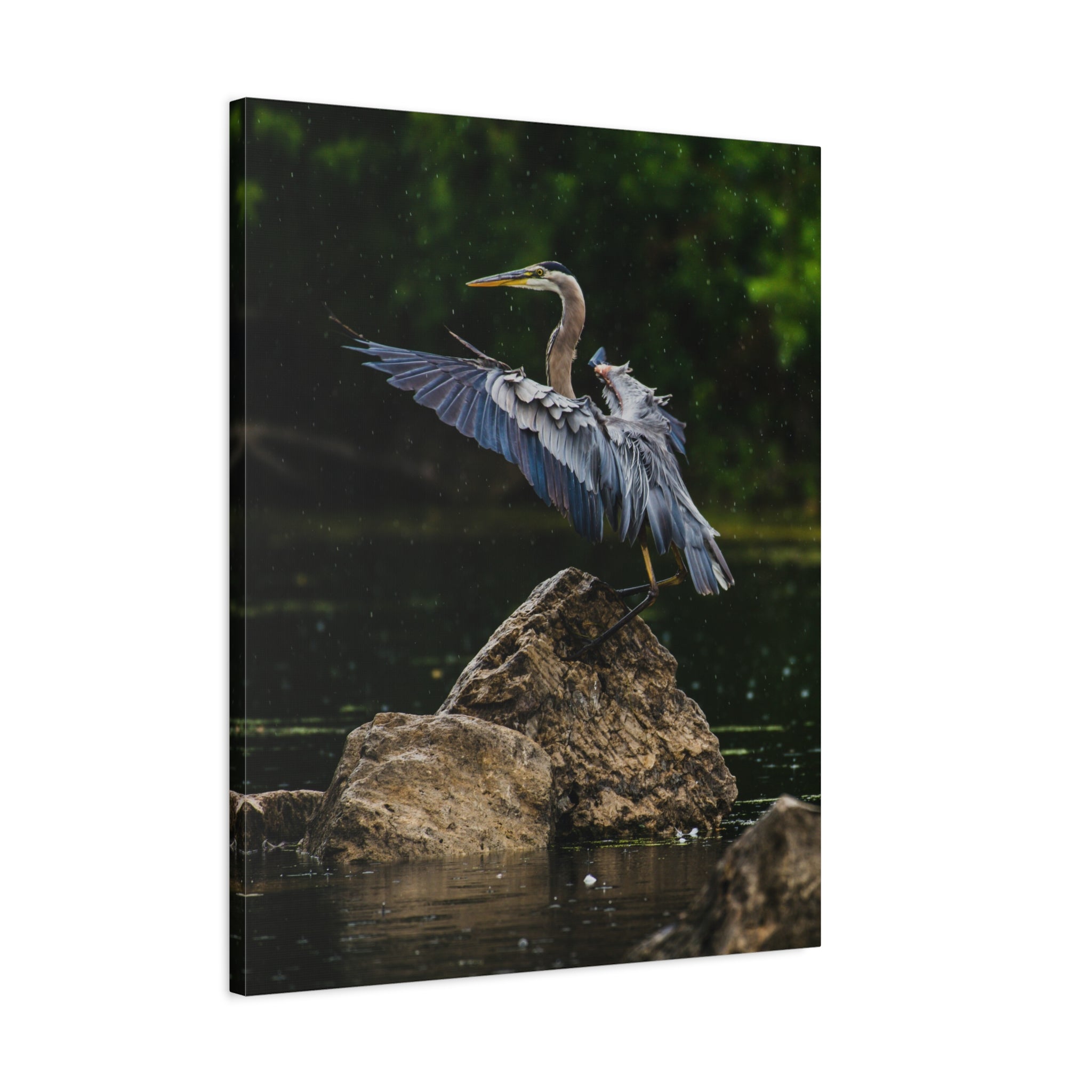 canvas-print-wall-art-great-blue-heron-matte-canvas-stretched-home-decor-bird-lover-gift-nature-wall-hanging-wildlife