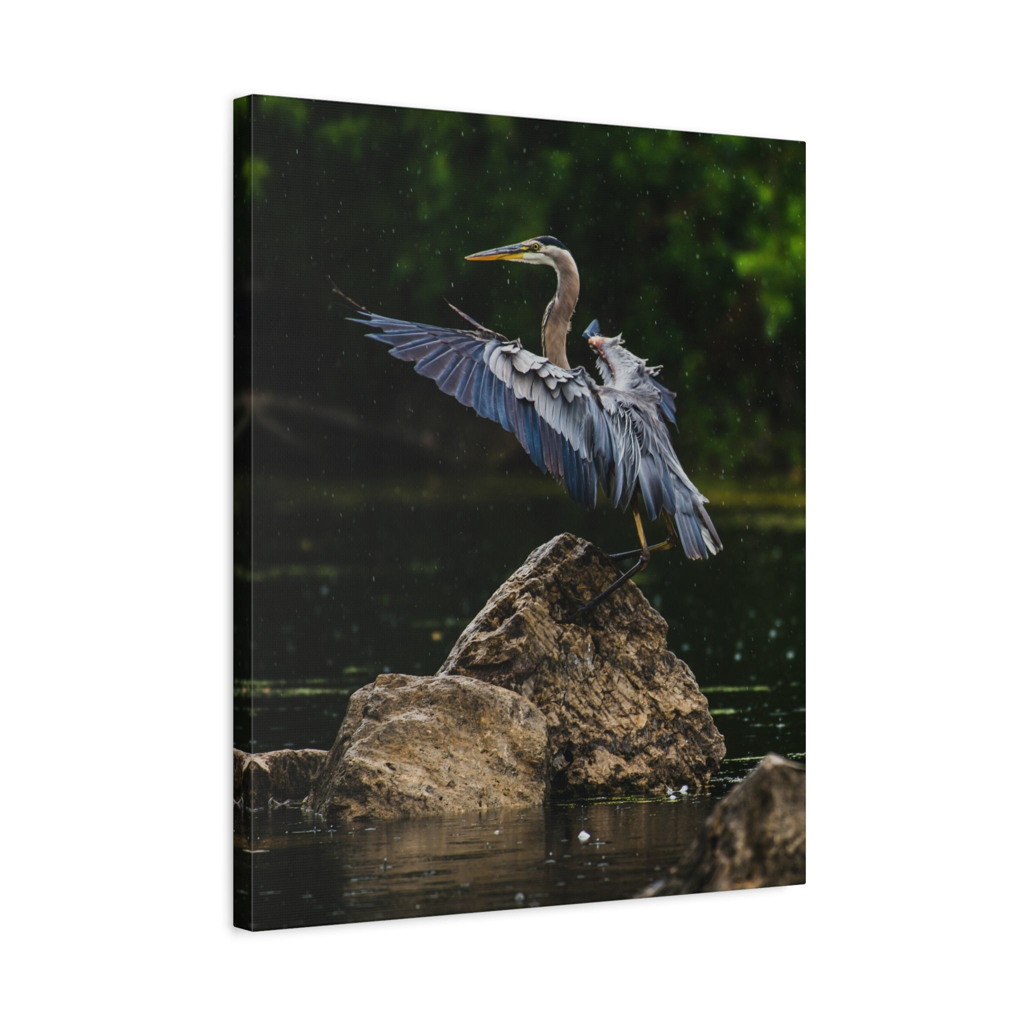 canvas-print-wall-art-great-blue-heron-matte-canvas-stretched-home-decor-bird-lover-gift-nature-wall-hanging-wildlife