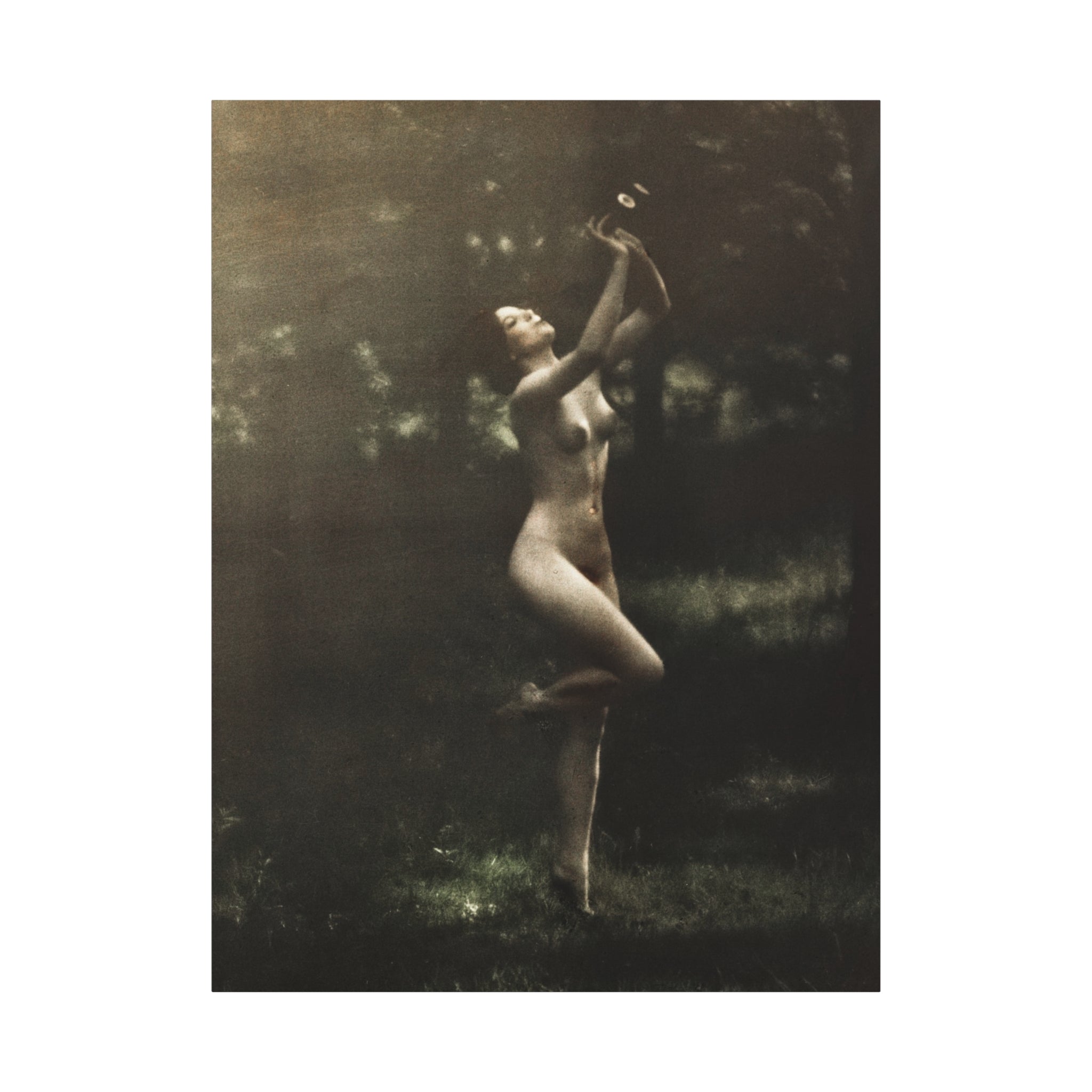 canvas-print-nude-dancer-by-arnold-genthe-nude-photography-nude-art-wall-decor-stretched-canvas-art-print-nature-photography