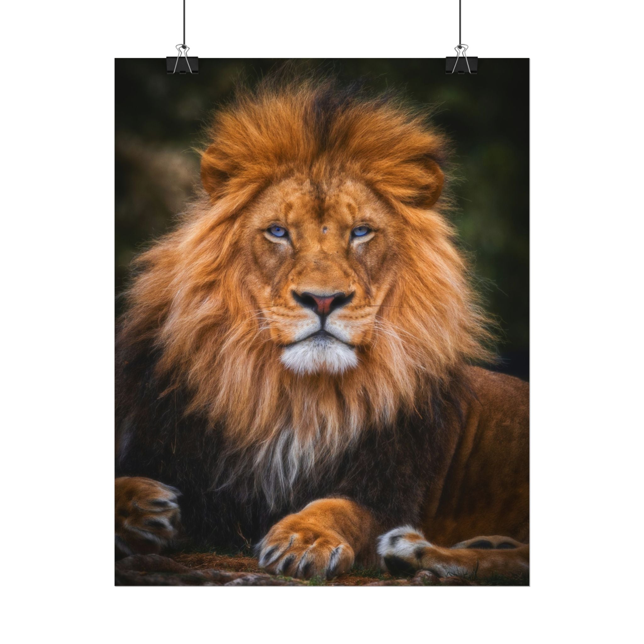 blue-eyed-lion-poster-wall-art-wildlife-home-decor-animal-lover-gift-safari-decoration-wildlife-art-print-lion-wall-decor