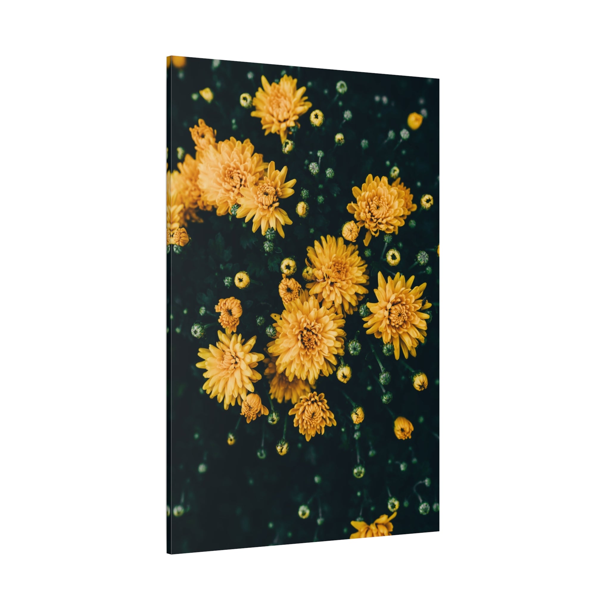 canvas-print-yellow-flower-art-matte-canvas-stretched-wall-decor-floral-home-decor-gift-bright-botanical-art-print-gallery-wr
