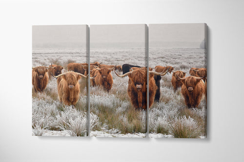 scottish-highland-cow-wall-art-3-piece-canvas-nature-landscape-canvas-highland-cattle-canvas-winter-wall-art-3-panel-christma